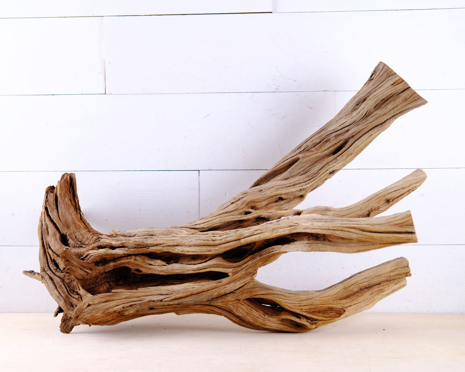 Manzanita 28" Driftwood, Large Aquarium Aquascape Branch, Natural Fish Tank Wood, Reptile Terrarium Decor