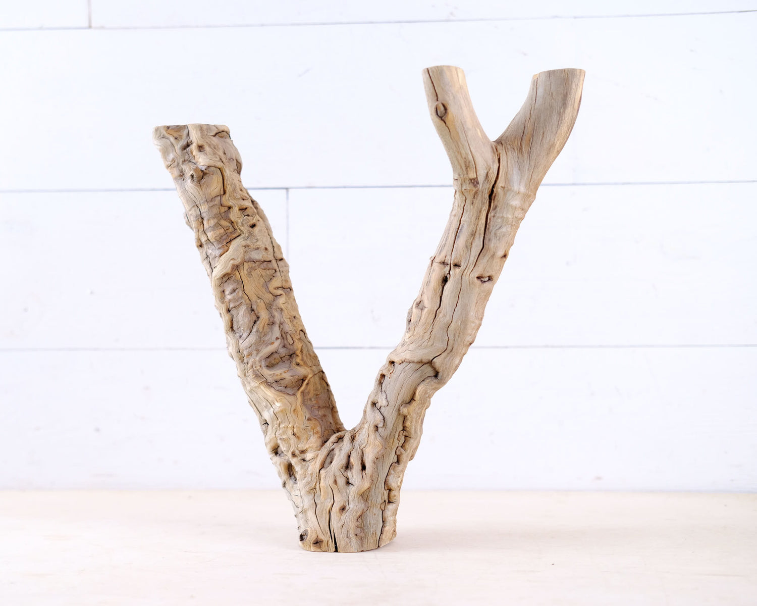 Manzanita 13" Driftwood Branch, Natural Aquarium Wood, Aquascape Branch, Reptile Climb, Terrarium Perch
