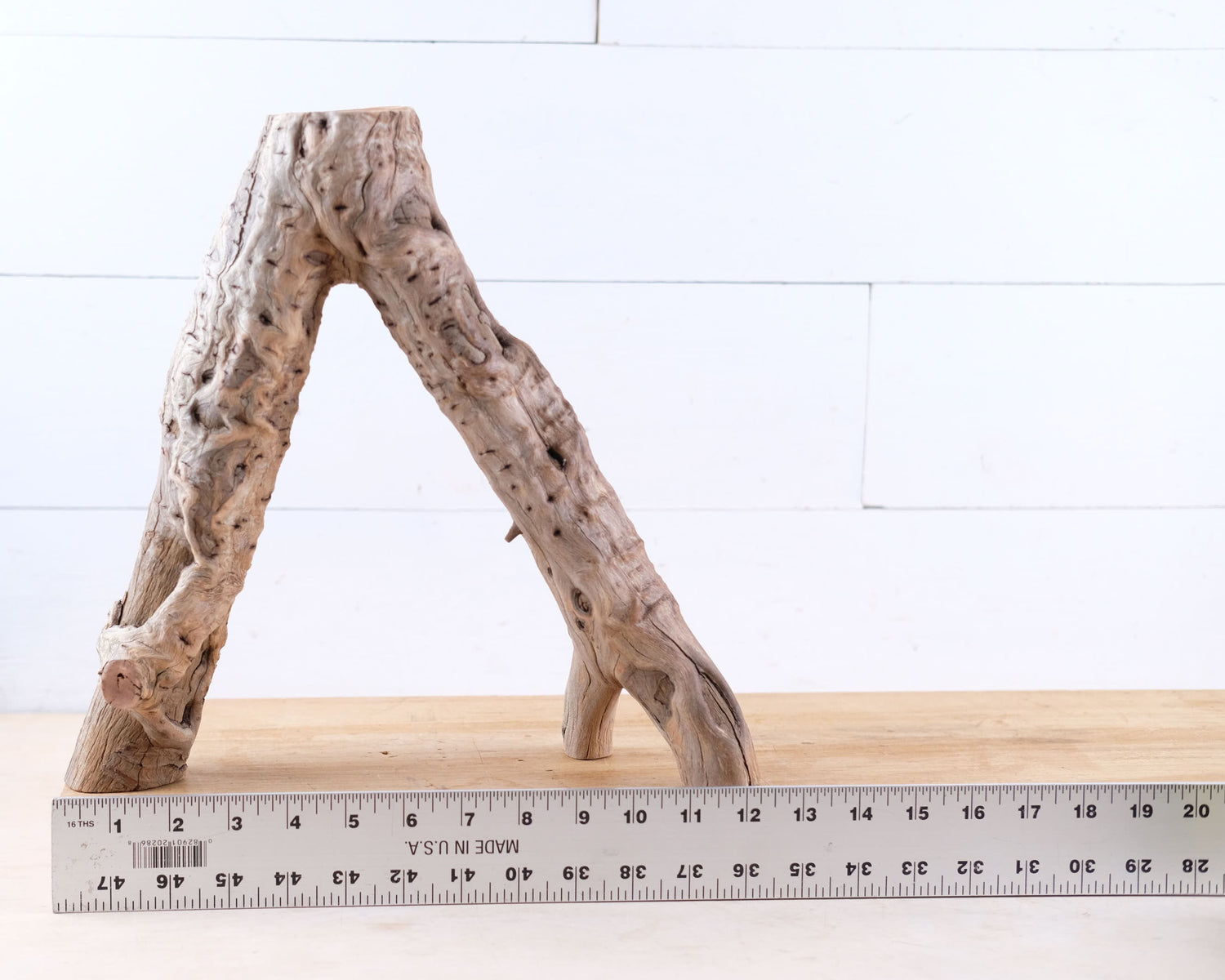 Manzanita 13" Driftwood Branch, Natural Aquarium Wood, Aquascape Branch, Reptile Climb, Terrarium Perch