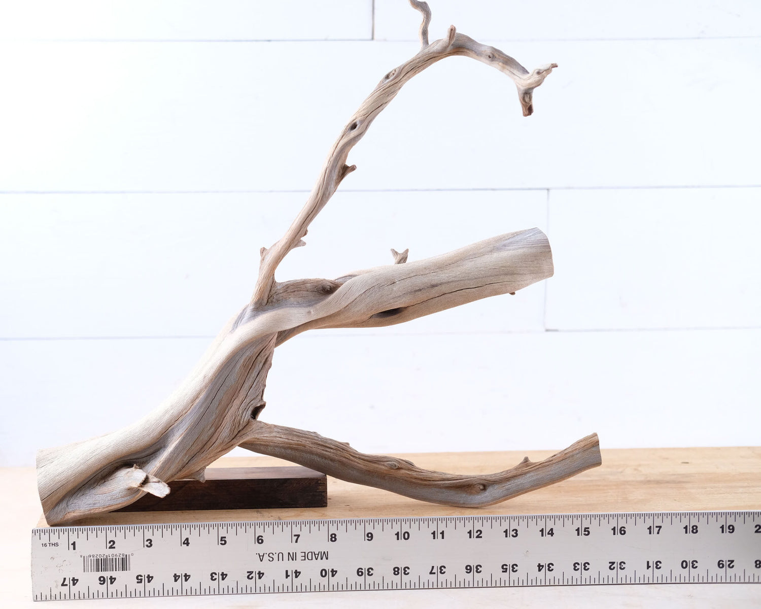 Manzanita 16" Branch, Aquarium Driftwood, Aquascape Centerpiece, Natural Fish Tank Decor, Reptile Terrarium Wood