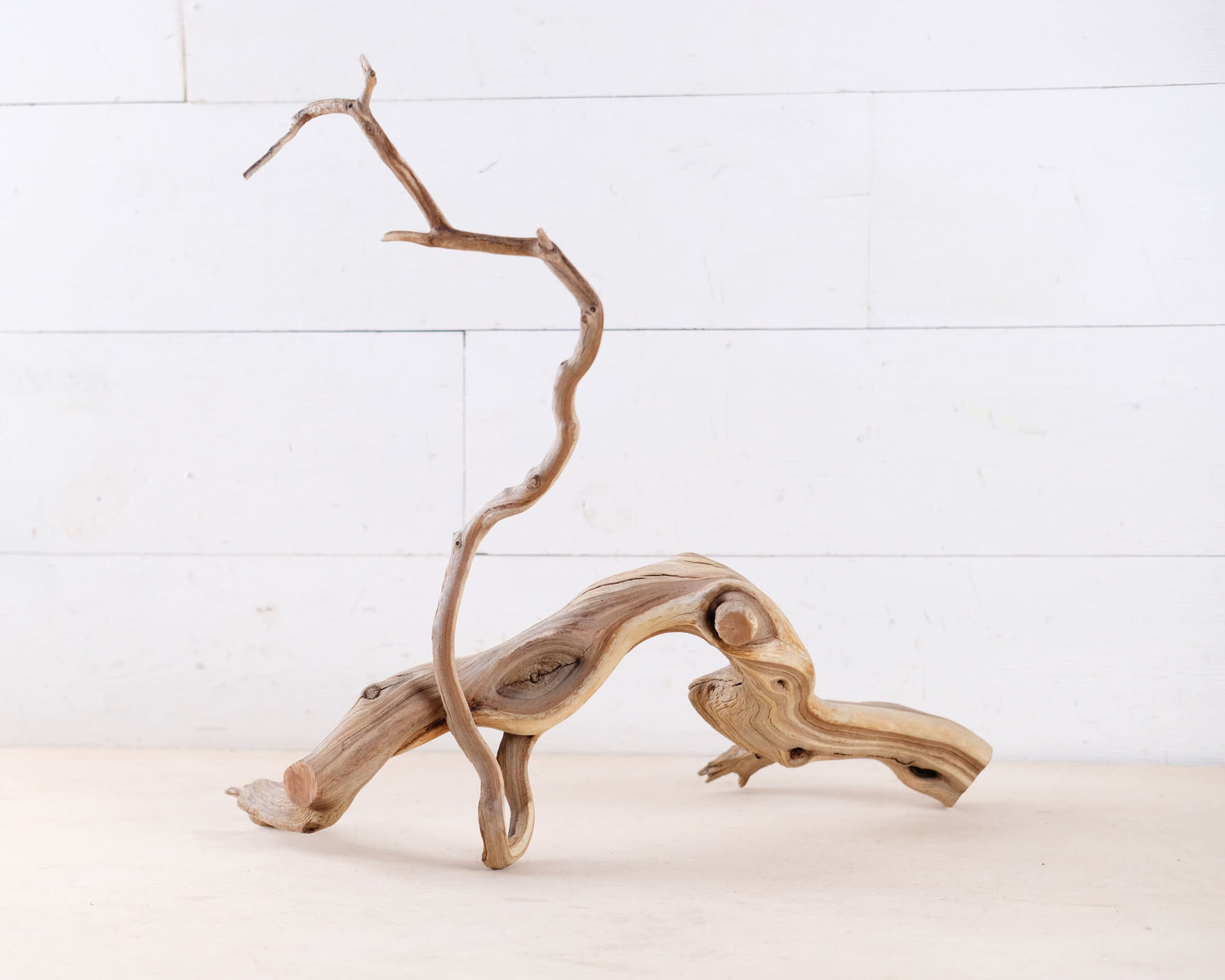 Manzanita 16" Driftwood, Aquarium Branch, Aquascape Decor, Natural Fish Tank Decor, Large Terrarium Wood