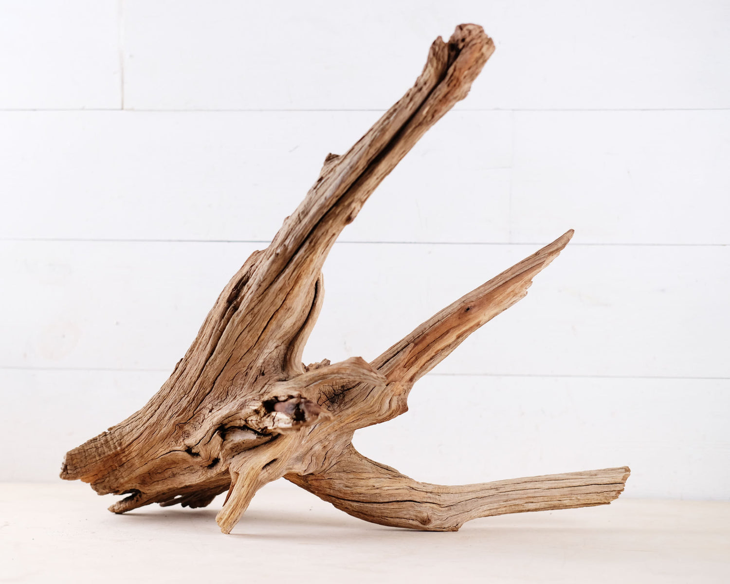 Manzanita 22" Driftwood, Aquarium Aquascape Branch, Natural Fish Tank Wood, Reptile Terrarium Decor