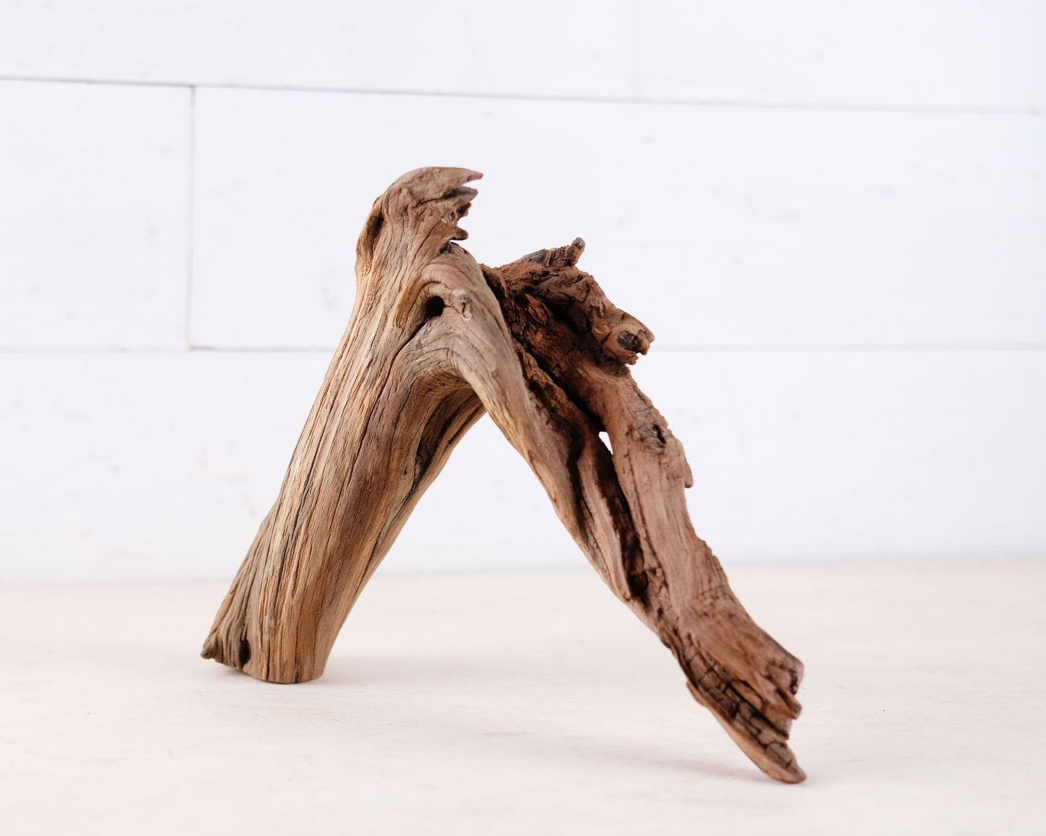 Manzanita 12" Driftwood Arch, Nano Aquarium Aquascape Decor, Small Fish Tank Wood, Aquarium Root