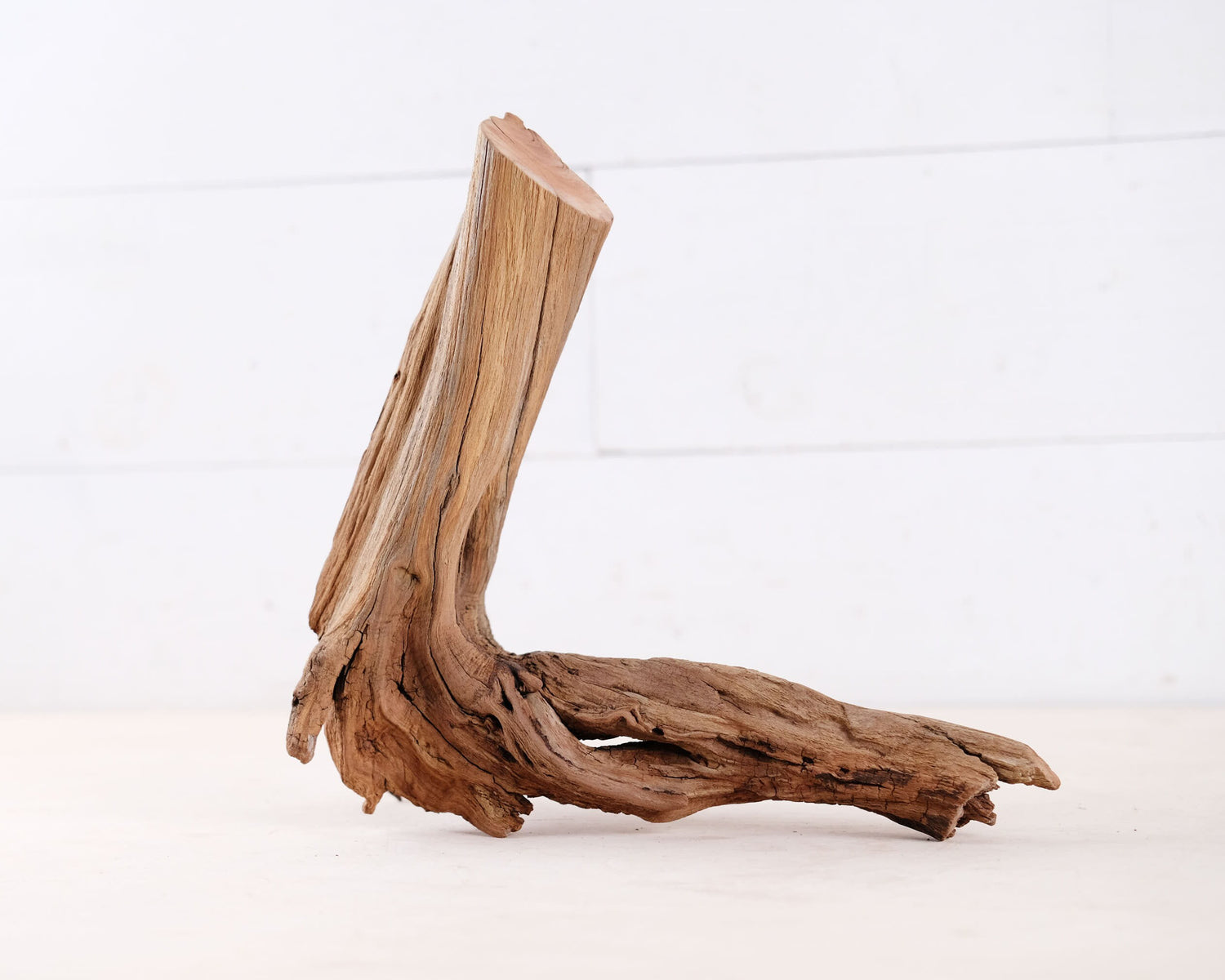 Manzanita 12" Driftwood Arch, Nano Aquarium Aquascape Decor, Small Fish Tank Wood, Aquarium Root
