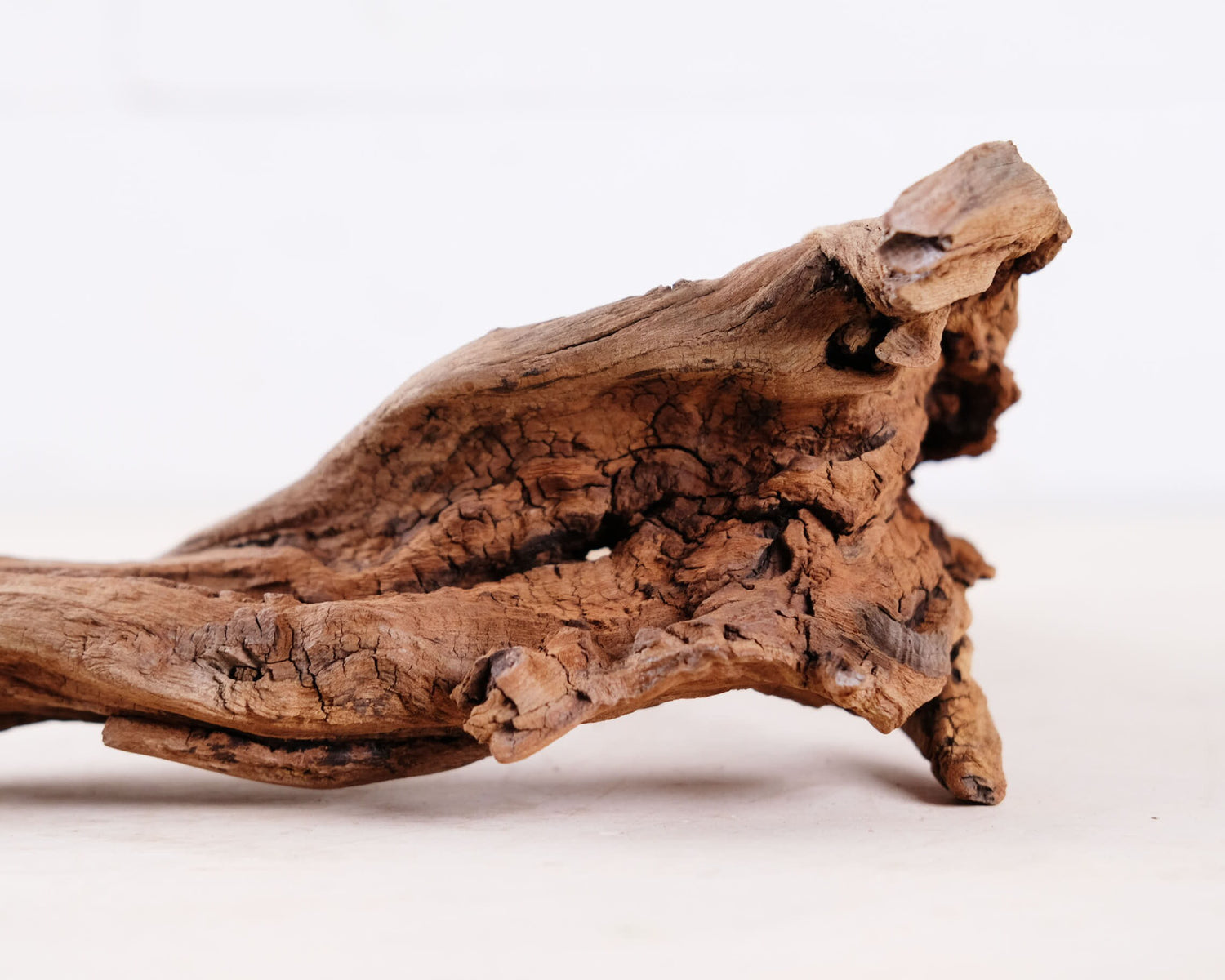Manzanita 12" Driftwood Arch, Nano Aquarium Aquascape Decor, Small Fish Tank Wood, Aquarium Root