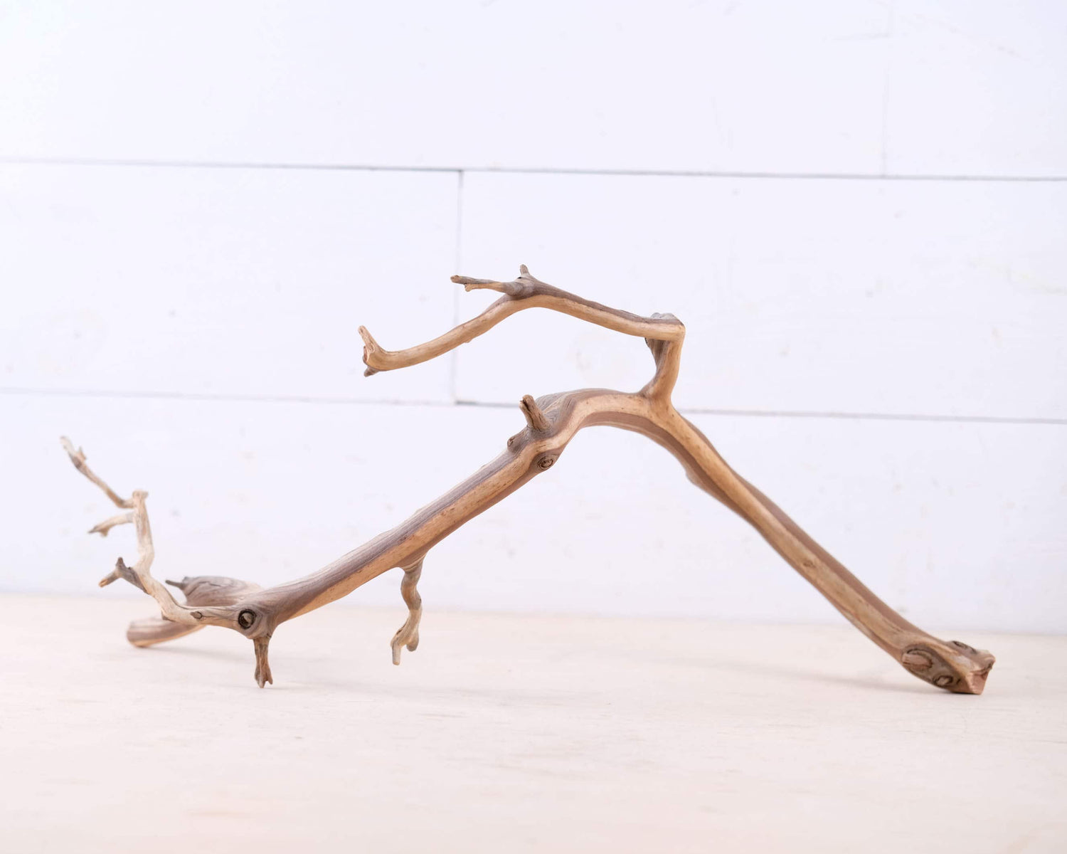 Manzanita 18" Branch, Slender Aquascape Driftwood, Natural Terrarium Wood, Aquarium Decor