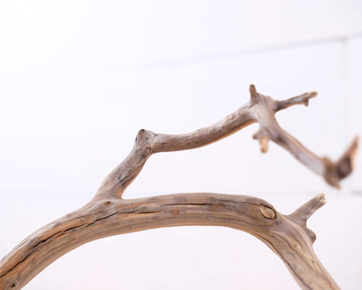 Manzanita 18" Branch, Slender Aquascape Driftwood, Natural Terrarium Wood, Aquarium Decor