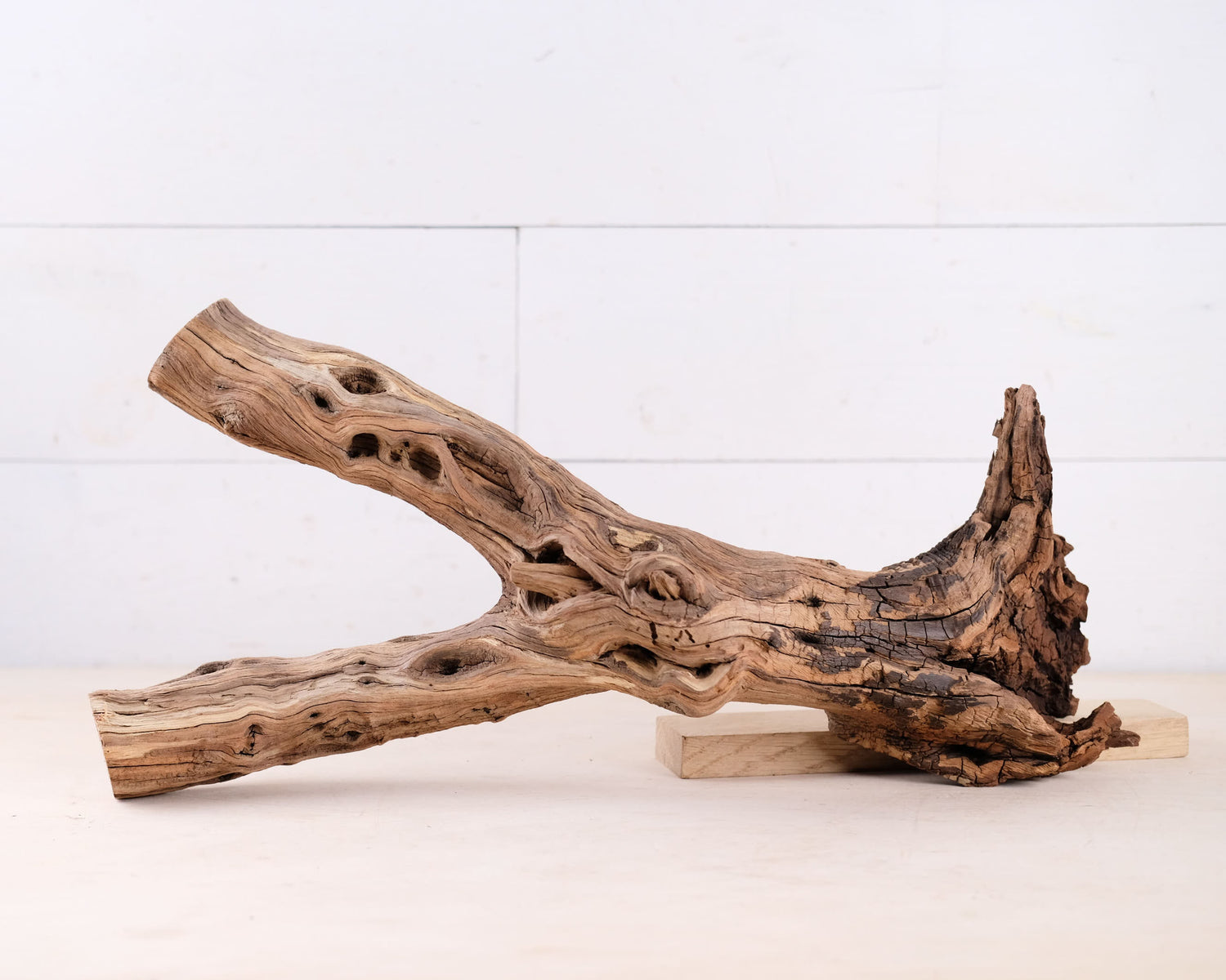 Manzanita 20" Driftwood, Aquarium Branch, Aquascape Decor, Vivarium Perch, Natural Fish Tank Decor, Reptile Terrarium Wood