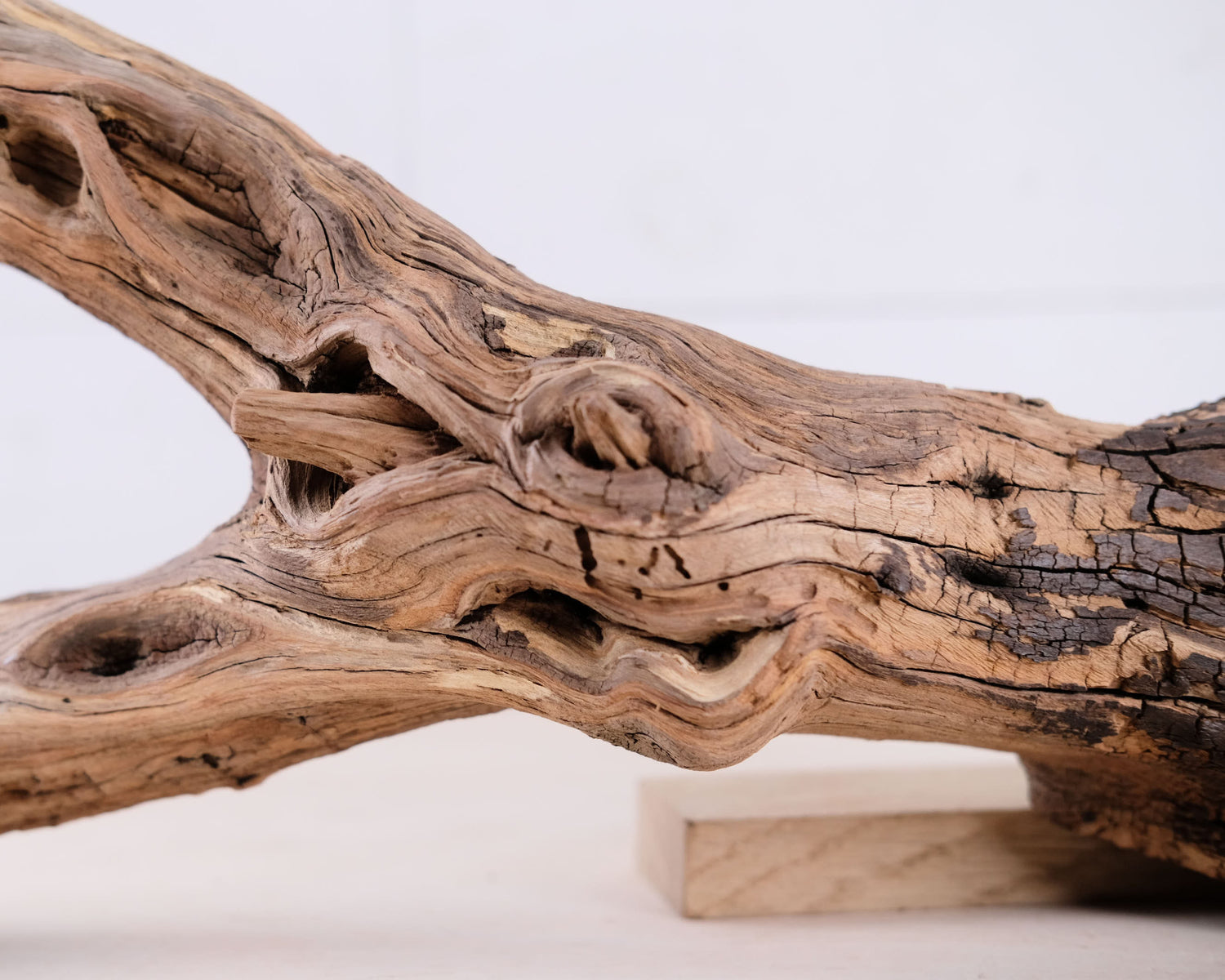 Manzanita 20" Driftwood, Aquarium Branch, Aquascape Decor, Vivarium Perch, Natural Fish Tank Decor, Reptile Terrarium Wood