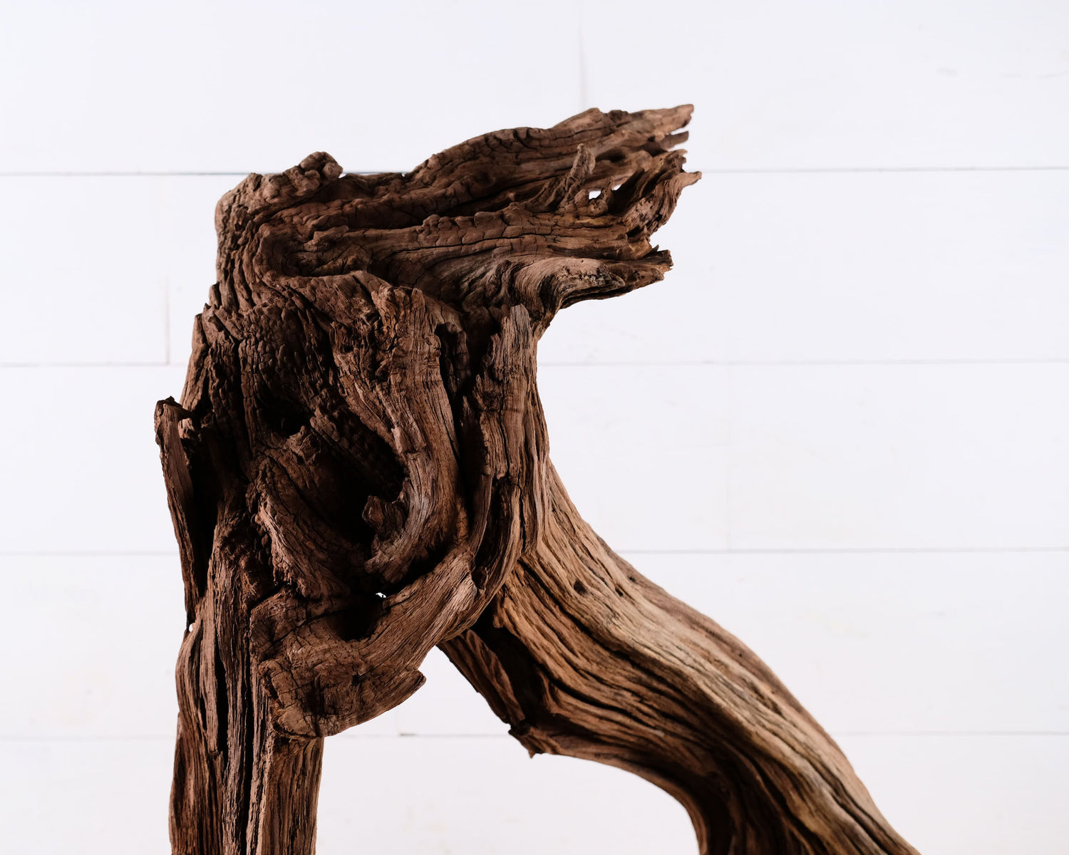 Manzanita 23" Driftwood, Large Aquarium Aquascape Branch, Natural Fish Tank Wood, Reptile Terrarium Decor
