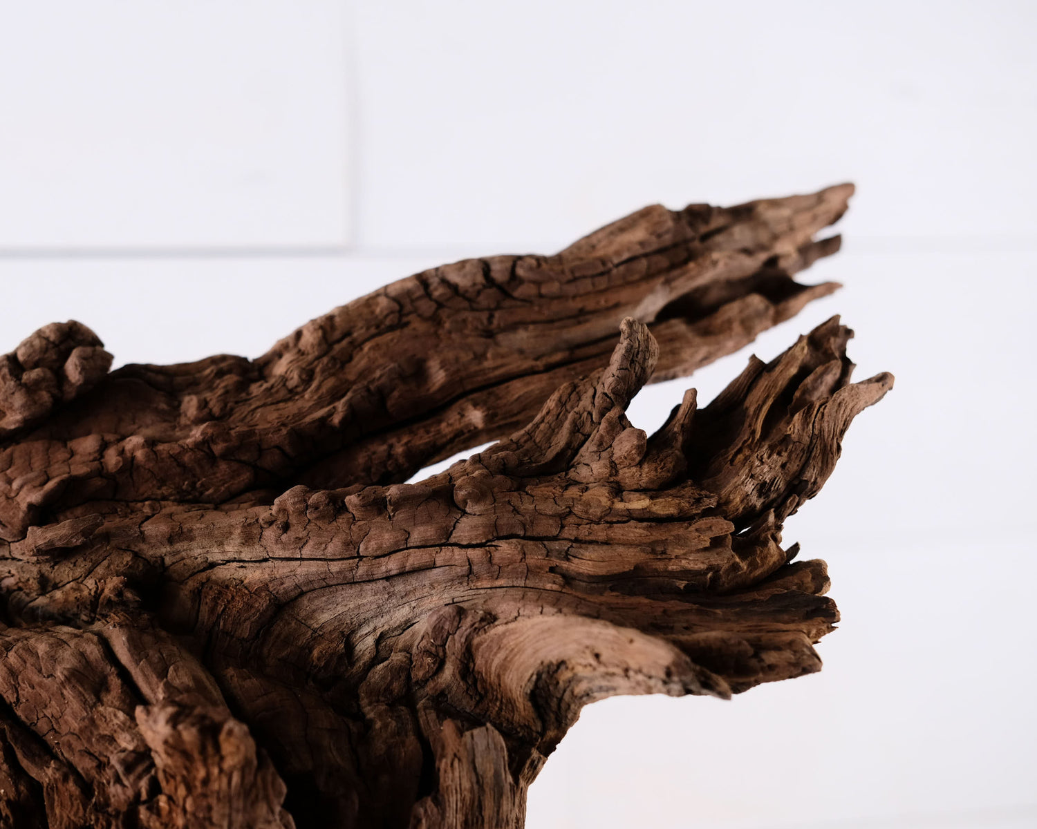 Manzanita 23" Driftwood, Large Aquarium Aquascape Branch, Natural Fish Tank Wood, Reptile Terrarium Decor