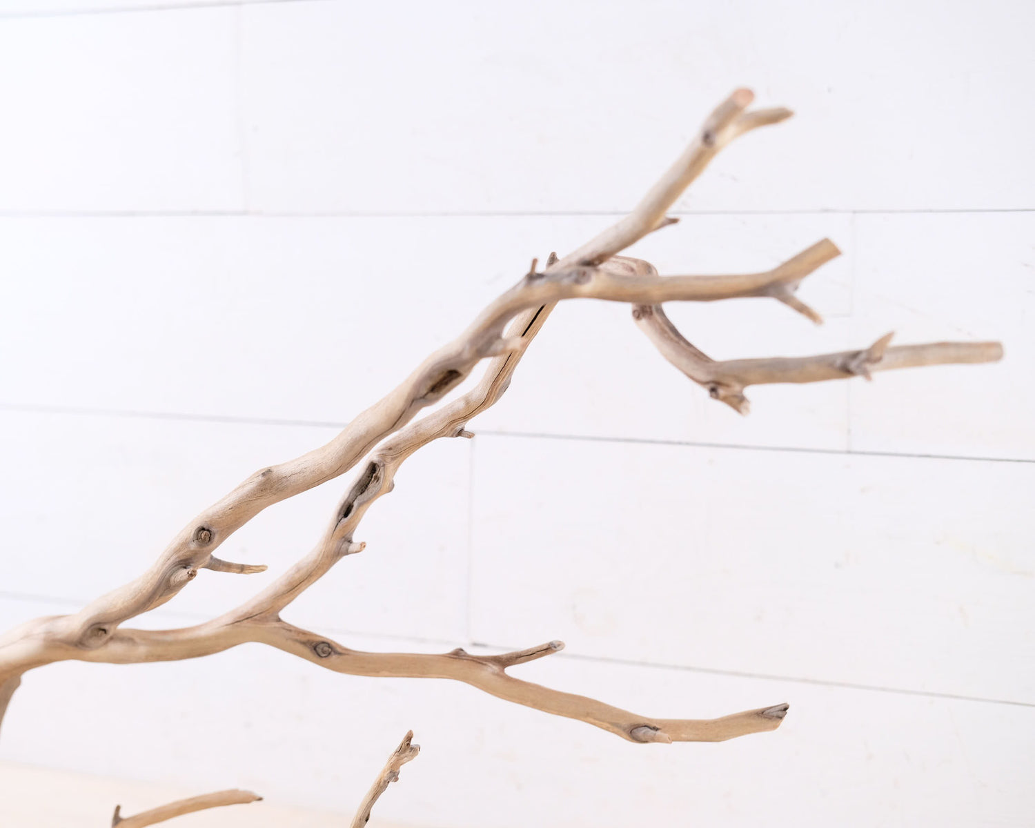 Manzanita 31" Branch, Large Aquarium Driftwood, Aquascape Centerpiece, Long Terrarium Branch, Chameleon Climb