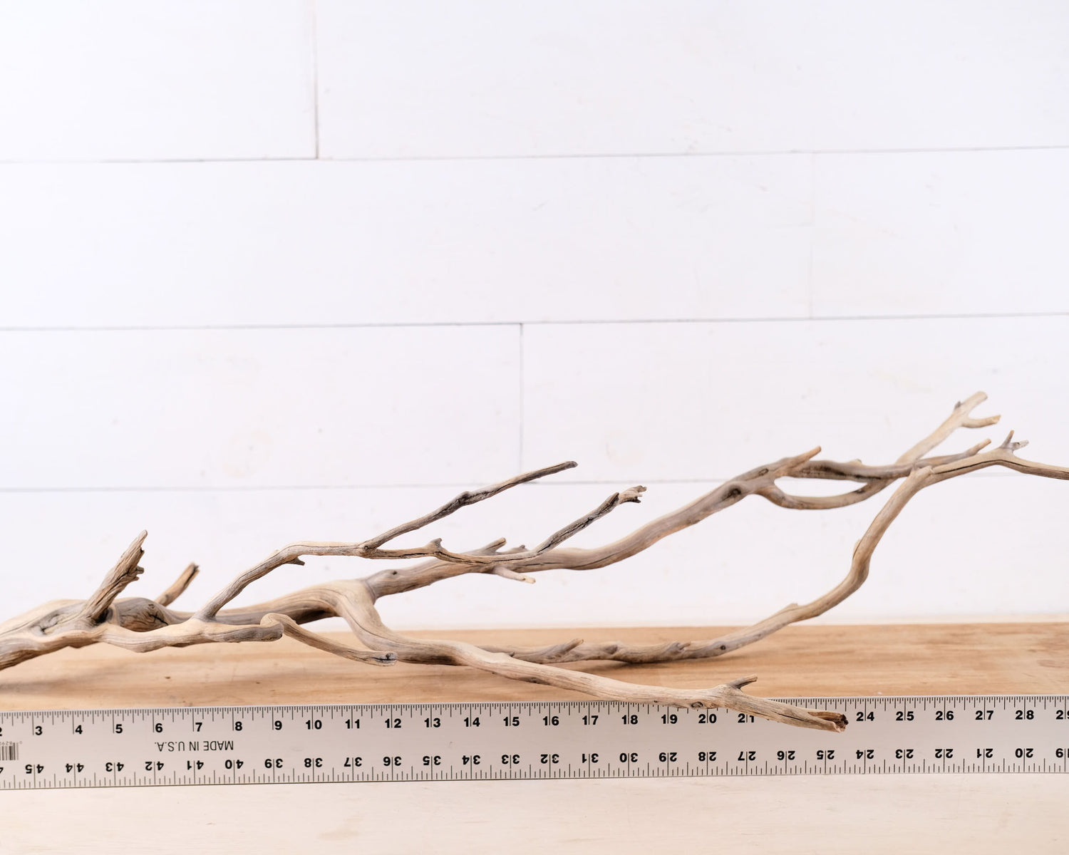 Manzanita 31" Branch, Large Aquarium Driftwood, Aquascape Centerpiece, Long Terrarium Branch, Chameleon Climb