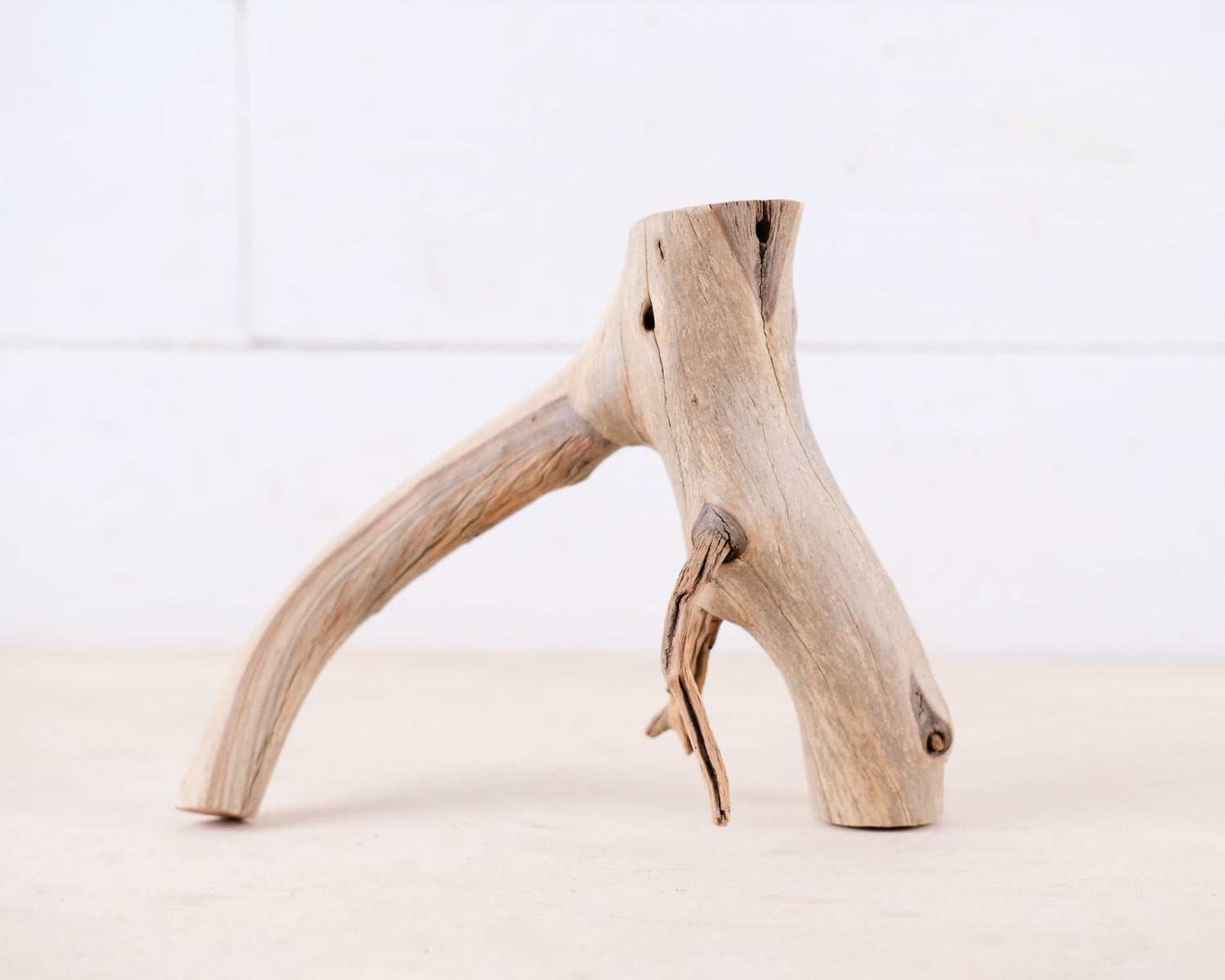 Manzanita 9" Driftwood Branch, Natural Aquarium Wood, Small Aquascape Branch, Nano Fish Tank Decor