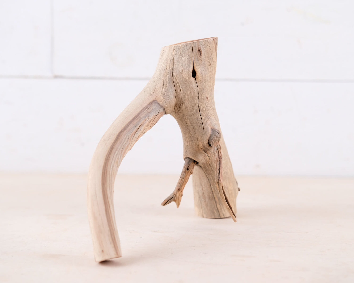 Manzanita 9" Driftwood Branch, Natural Aquarium Wood, Small Aquascape Branch, Nano Fish Tank Decor