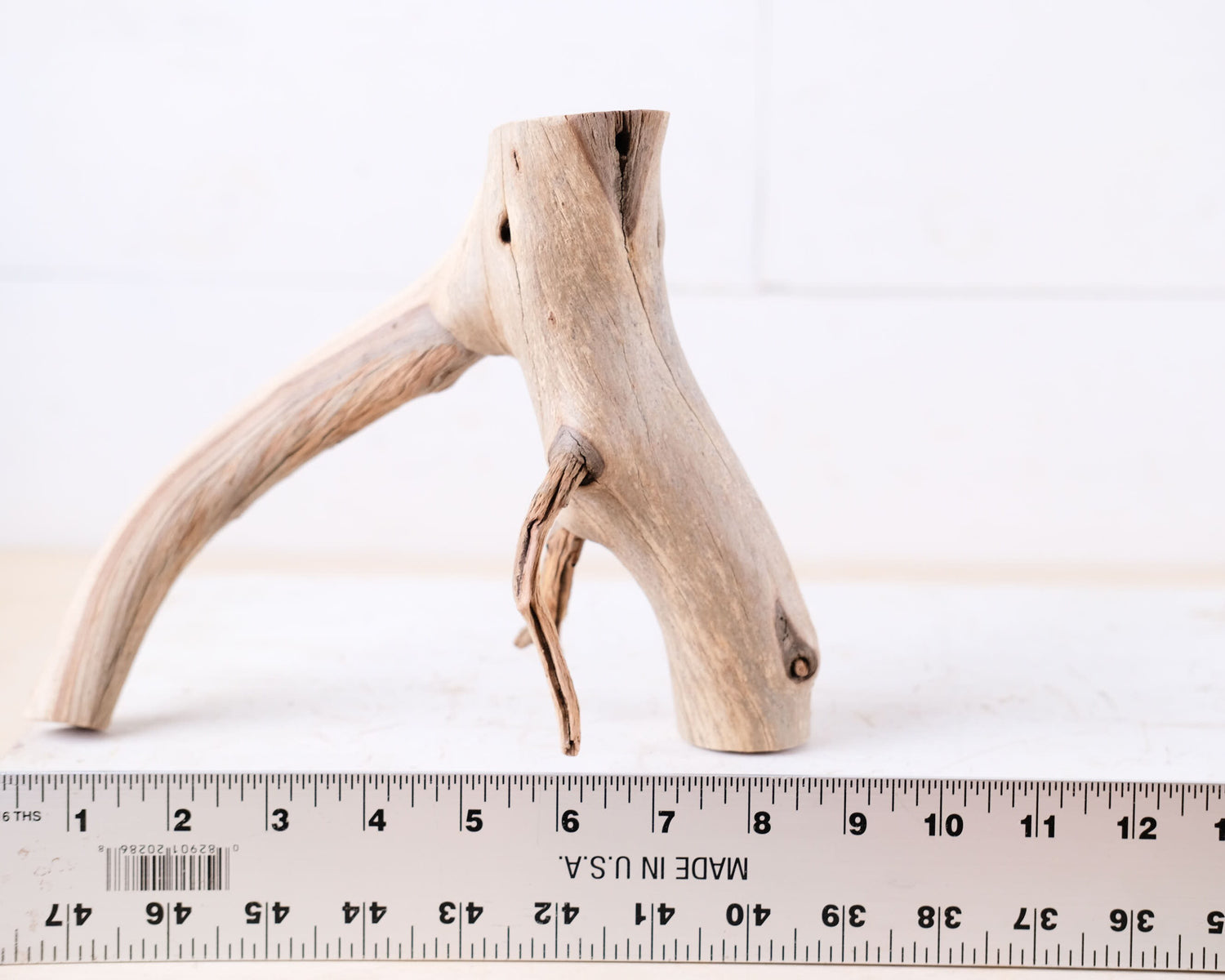 Manzanita 9" Driftwood Branch, Natural Aquarium Wood, Small Aquascape Branch, Nano Fish Tank Decor