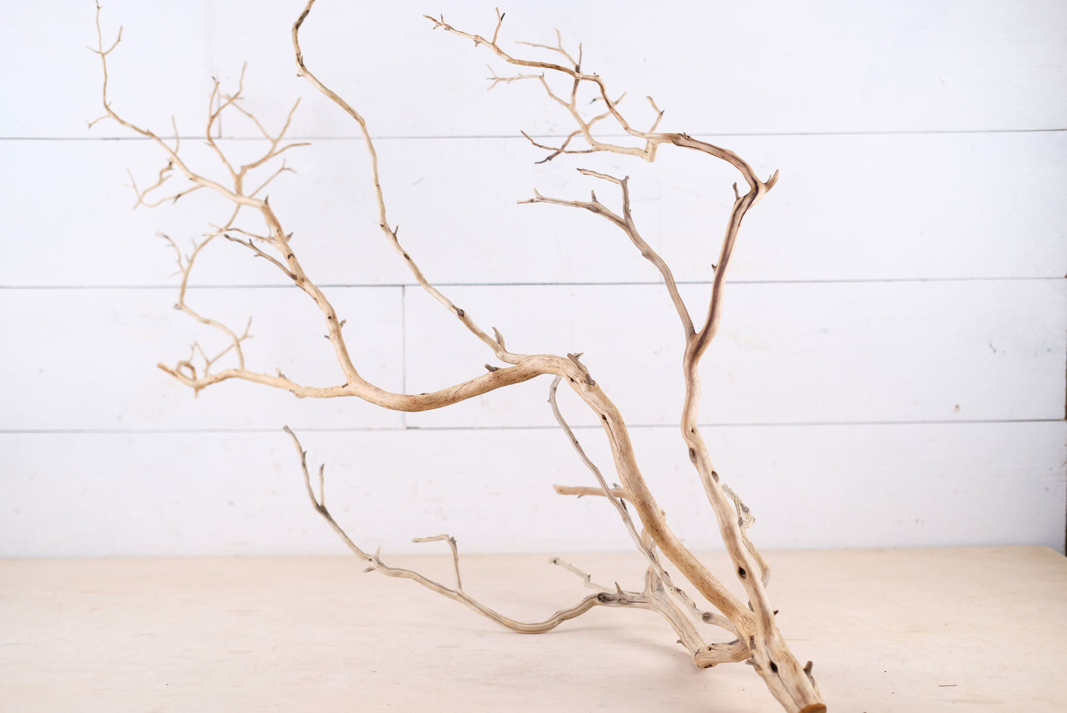Manzanita 30" Branch, Large Aquarium Driftwood, Aquascape Centerpiece, Natural Fish Tank Decor