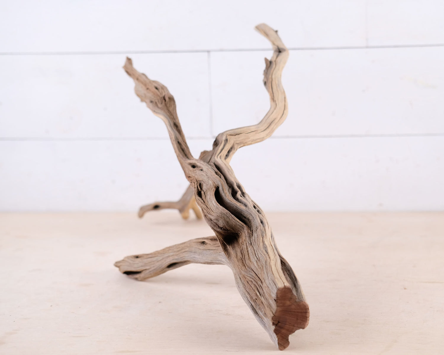 Manzanita 22" Driftwood, Aquarium Aquascape Branch, Natural Fish Tank Decor, Reptile Tank Wood, Terrarium Climb