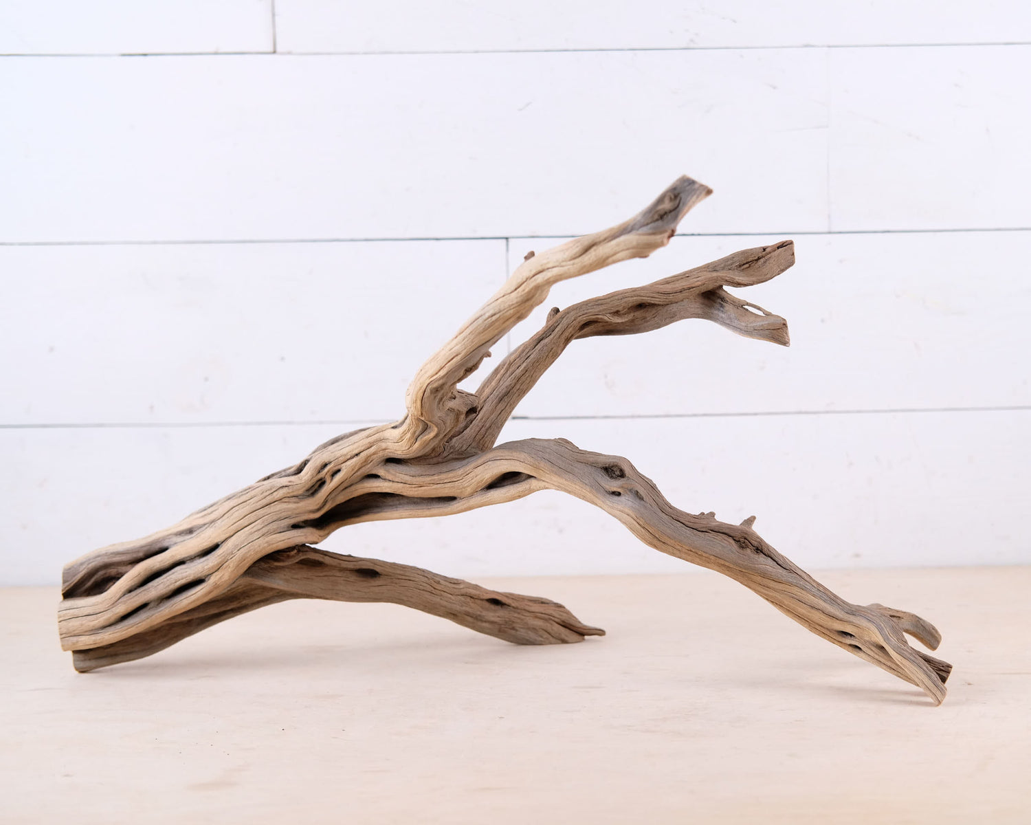 Manzanita 22" Driftwood, Aquarium Aquascape Branch, Natural Fish Tank Decor, Reptile Tank Wood, Terrarium Climb