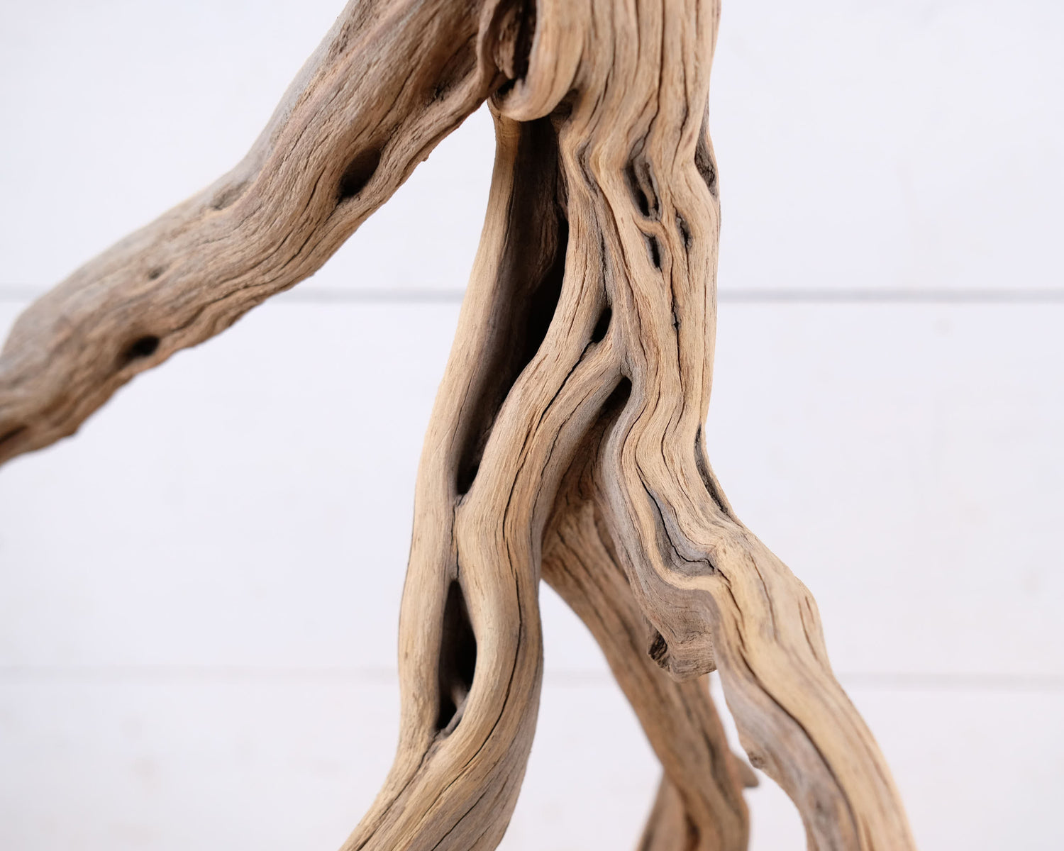 Manzanita 22" Driftwood, Aquarium Aquascape Branch, Natural Fish Tank Decor, Reptile Tank Wood, Terrarium Climb
