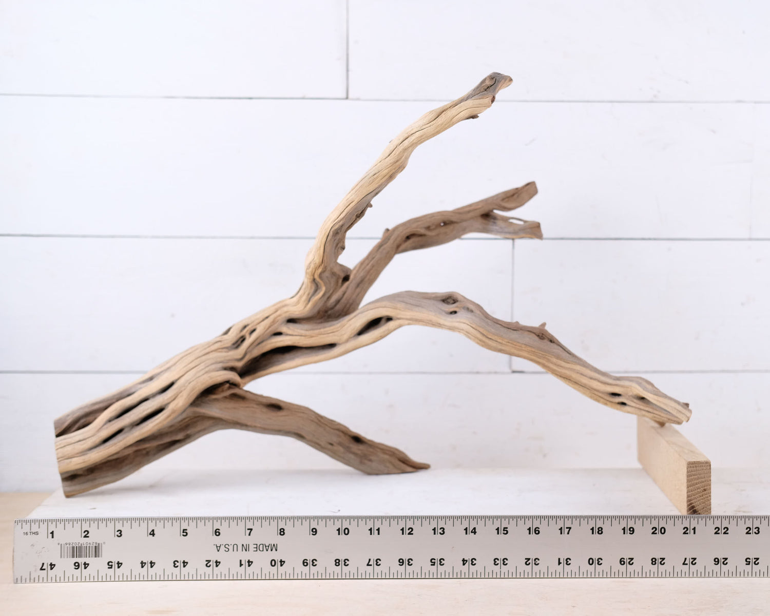 Manzanita 22" Driftwood, Aquarium Aquascape Branch, Natural Fish Tank Decor, Reptile Tank Wood, Terrarium Climb