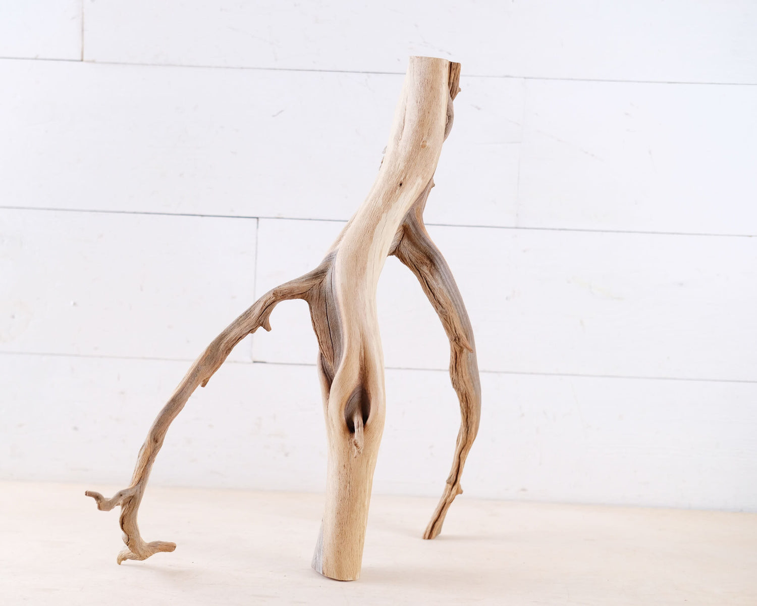 Manzanita 16" Branch, Aquarium Driftwood, Aquascape Centerpiece, Natural Fish Tank Decor, Reptile Terrarium Wood