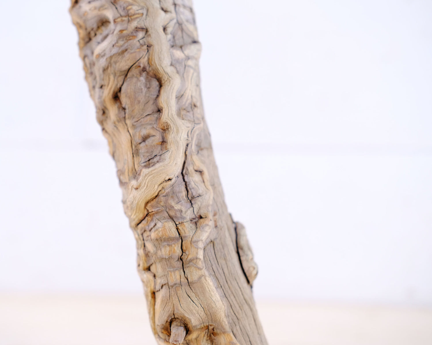 Manzanita 13" Driftwood Branch, Natural Aquarium Wood, Aquascape Branch, Reptile Climb, Terrarium Perch