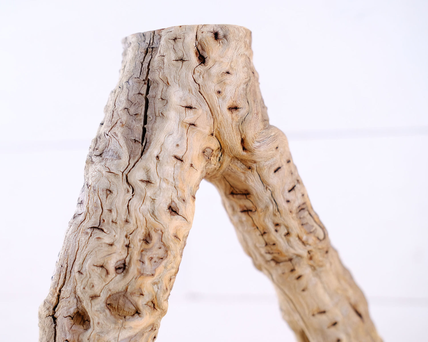 Manzanita 13" Driftwood Branch, Natural Aquarium Wood, Aquascape Branch, Reptile Climb, Terrarium Perch