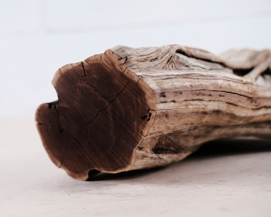 10" Manzanita Driftwood Stump, Aquarium Driftwood, Reptile Climb, Terrarium Basking Perch, Driftwood Home Decor