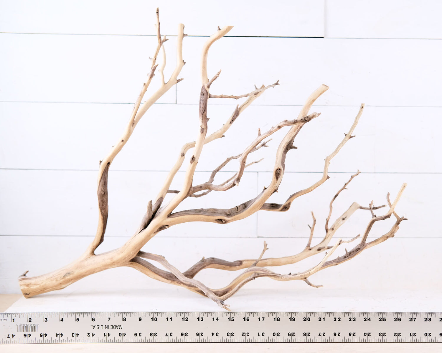 Manzanita 28" Branch, Large Aquarium Driftwood, Aquascape Centerpiece, Natural Fish Tank Decor, Reptile Terrarium Climb, Chandelier Branch