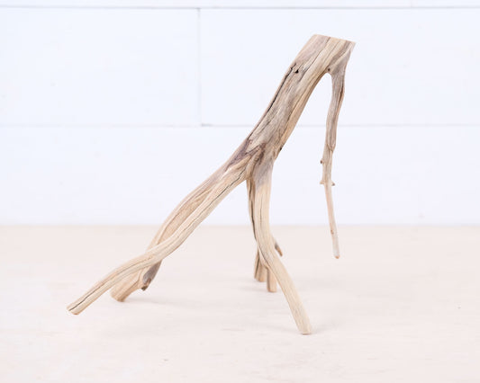 Manzanita 10" Driftwood Branch, Natural Aquarium Wood, Small Aquascape Branch, Nano Fish Tank Decor