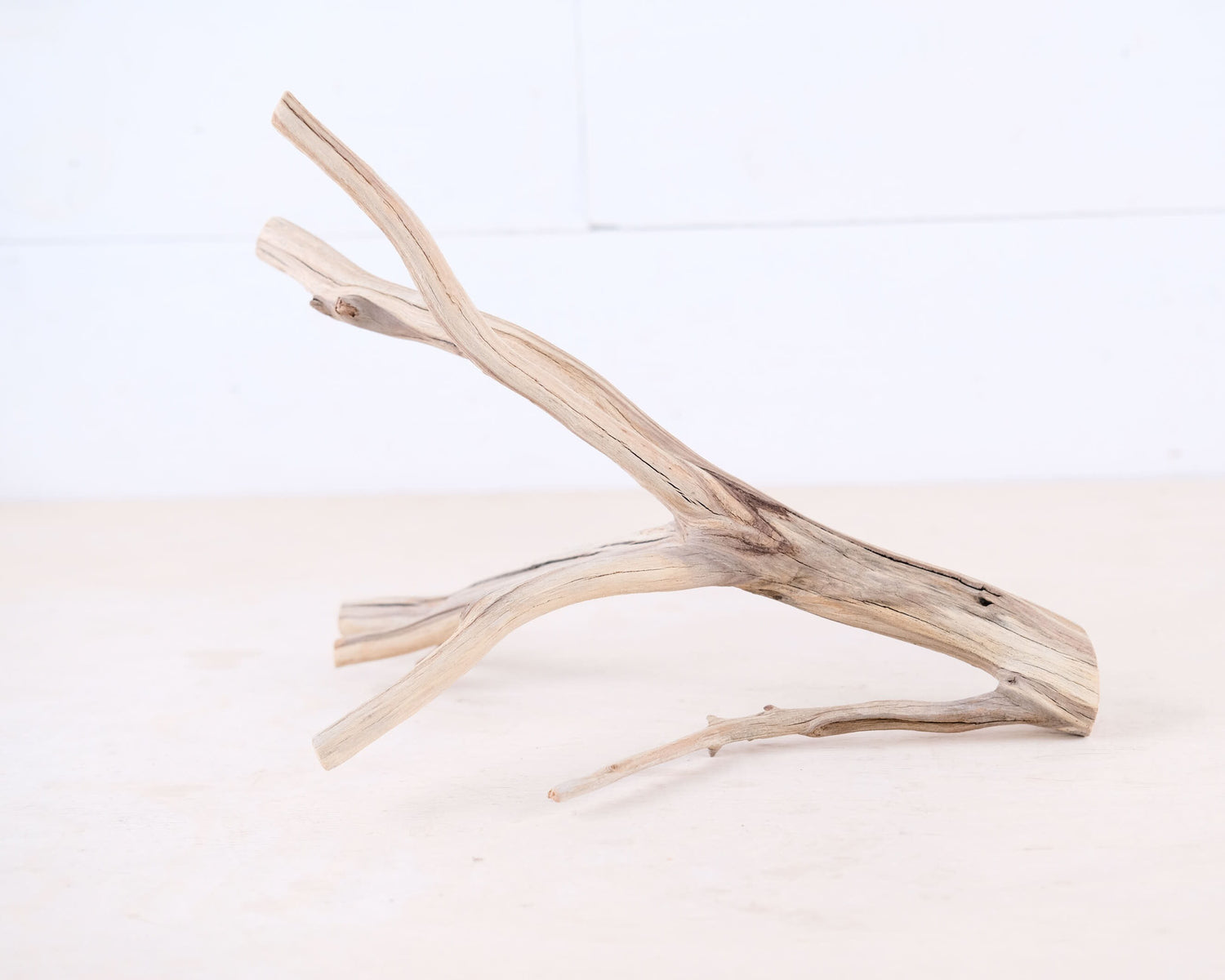 Manzanita 10" Driftwood Branch, Natural Aquarium Wood, Small Aquascape Branch, Nano Fish Tank Decor