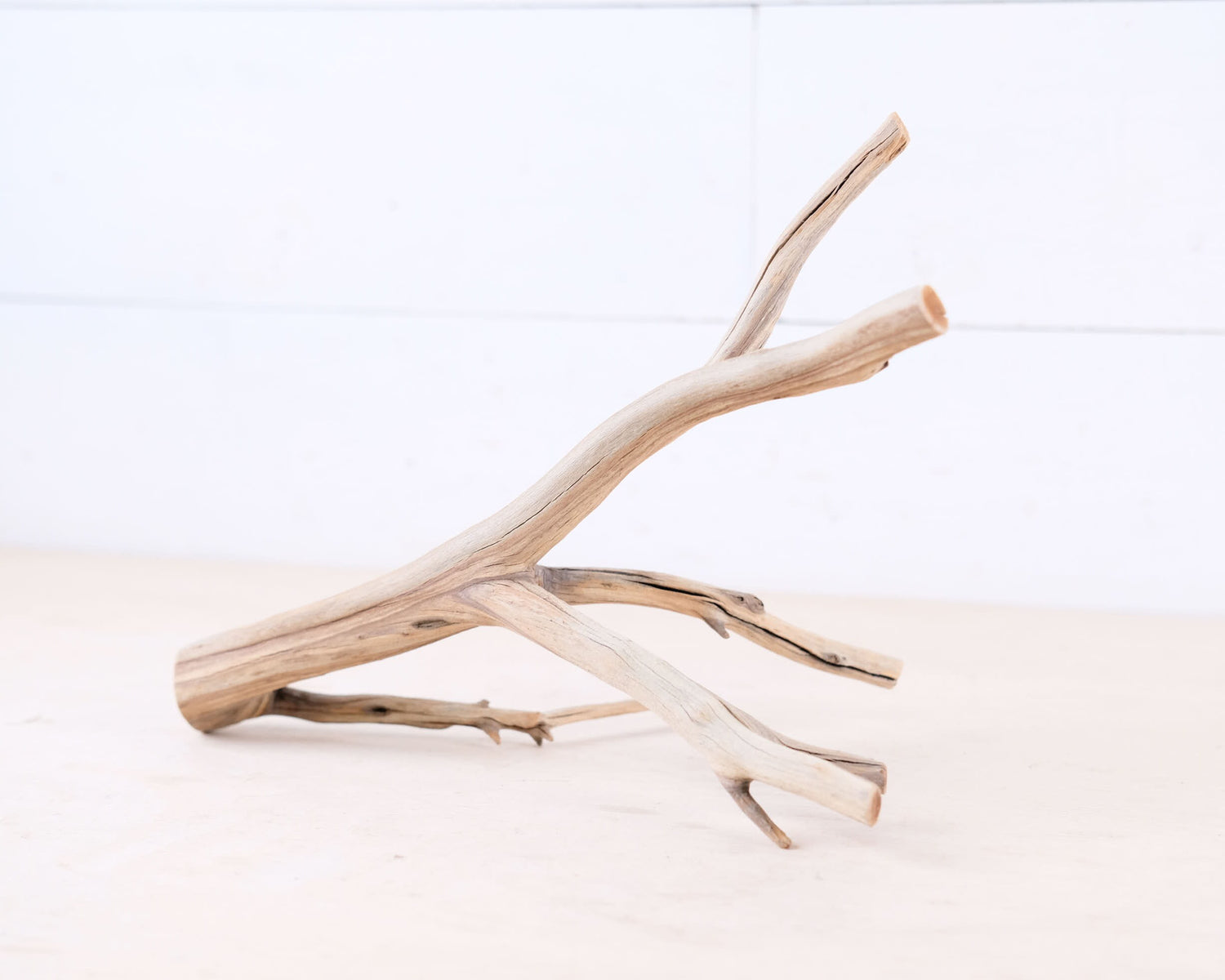 Manzanita 10" Driftwood Branch, Natural Aquarium Wood, Small Aquascape Branch, Nano Fish Tank Decor