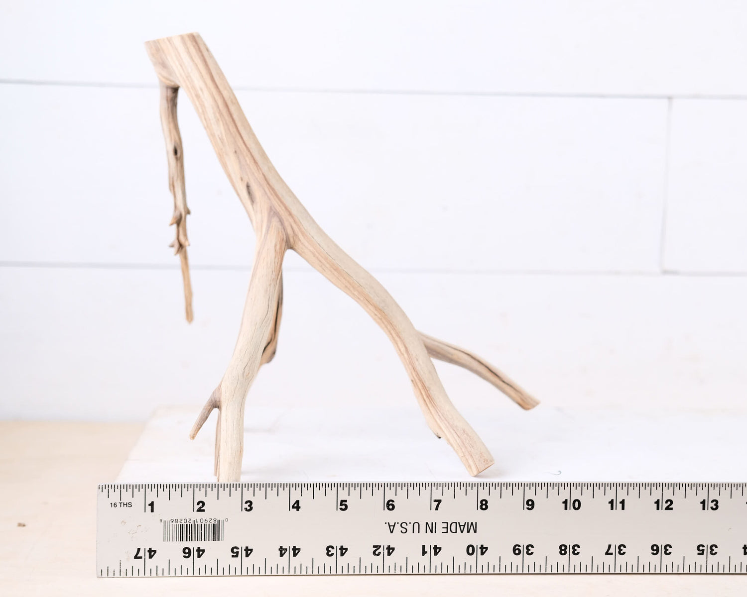 Manzanita 10" Driftwood Branch, Natural Aquarium Wood, Small Aquascape Branch, Nano Fish Tank Decor