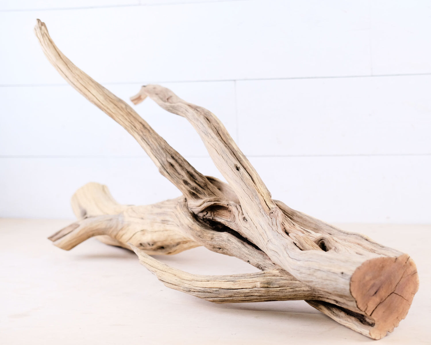 Manzanita 29" Driftwood Branch, Large Reptile Perch, Aquarium Centerpiece Log, Terrarium Wood Climb