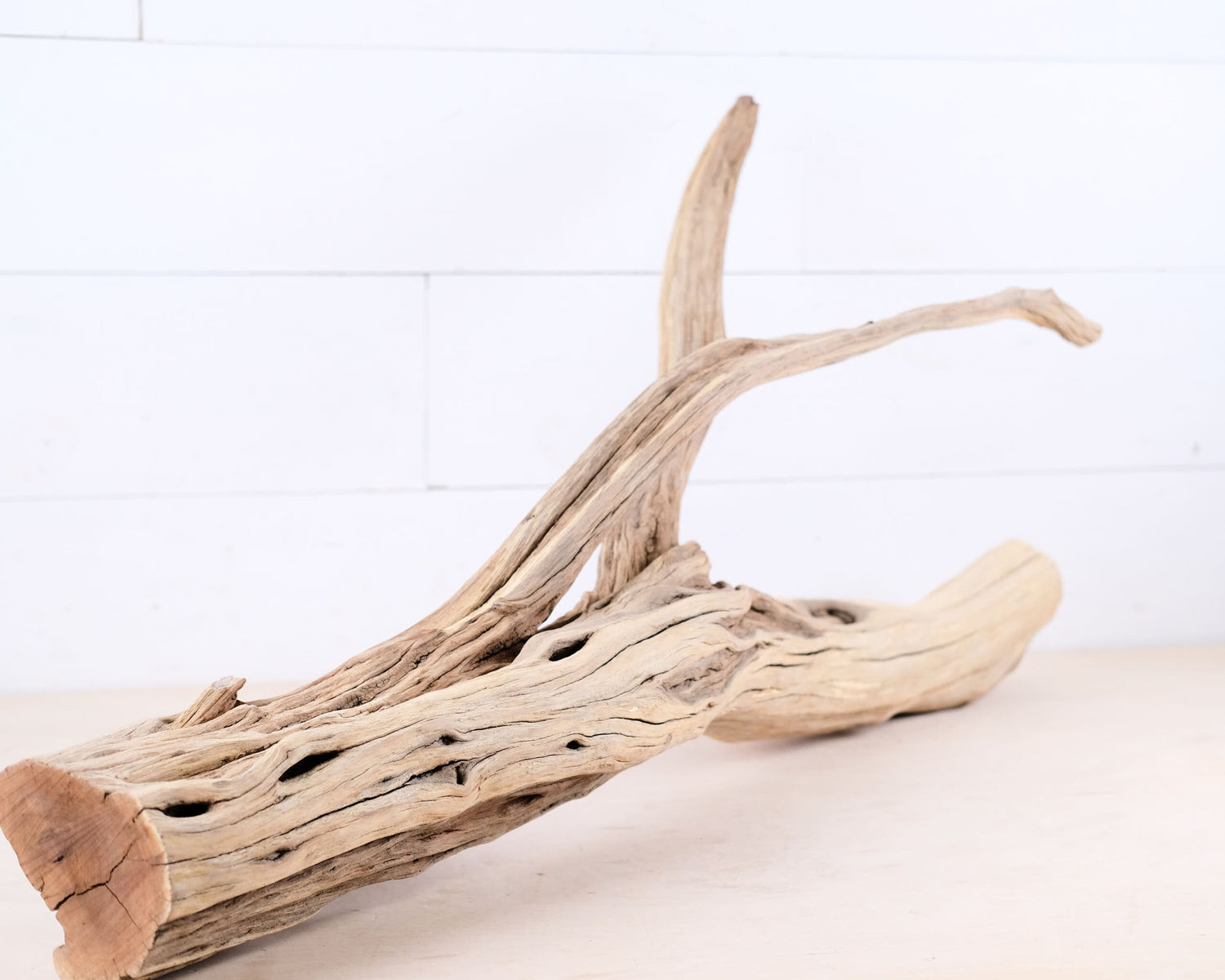 Manzanita 29" Driftwood Branch, Large Reptile Perch, Aquarium Centerpiece Log, Terrarium Wood Climb