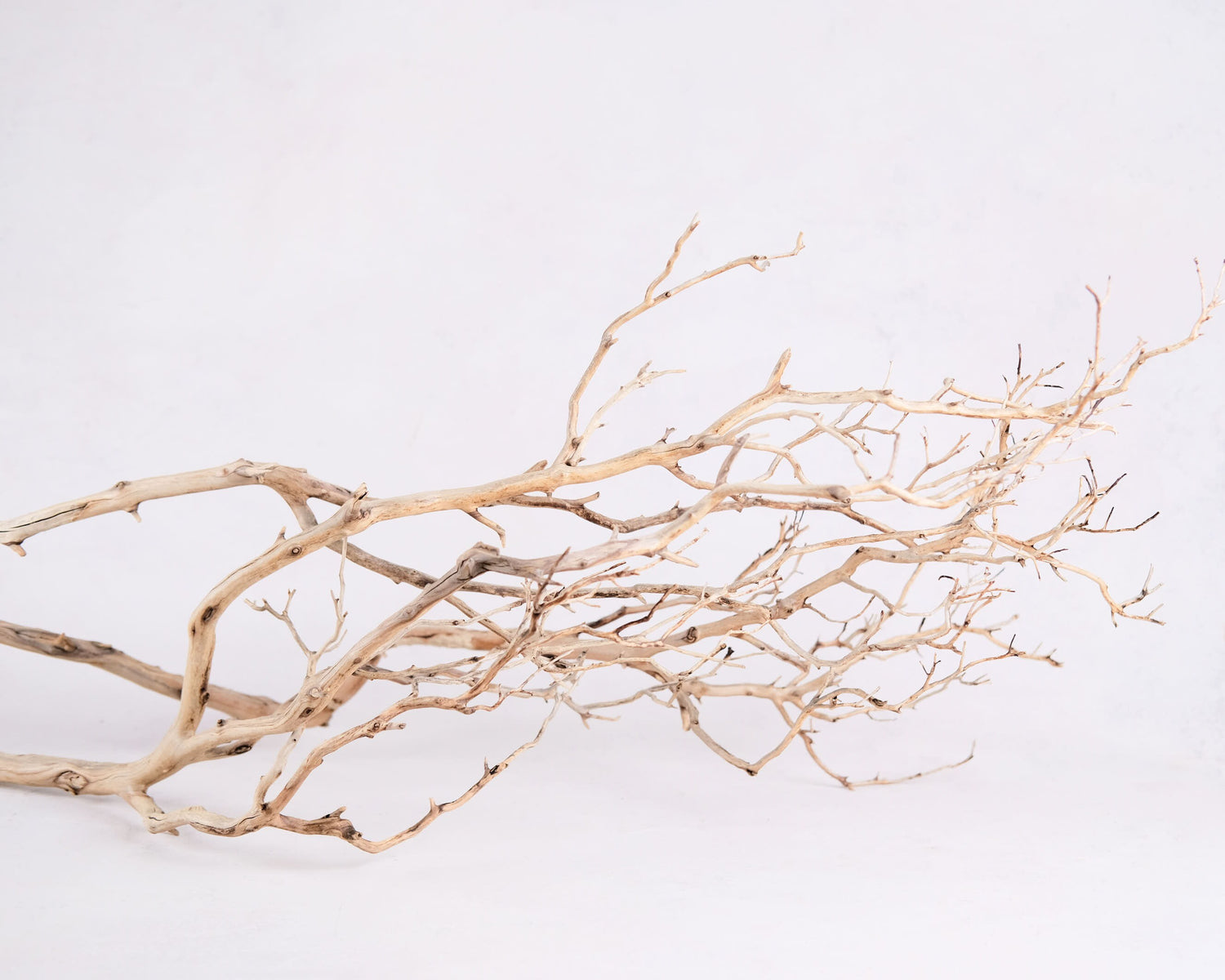 Manzanita 48" Branch, Large Aquarium Driftwood, Aquascape Centerpiece, Natural Fish Tank Decor, Natural Decor Branch