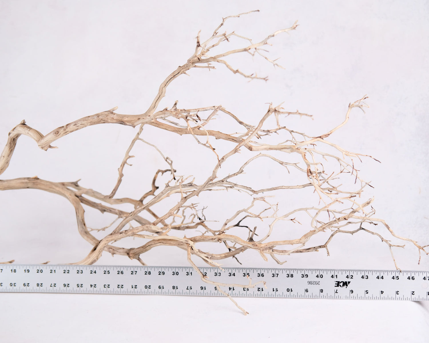 Manzanita 48" Branch, Large Aquarium Driftwood, Aquascape Centerpiece, Natural Fish Tank Decor, Natural Decor Branch