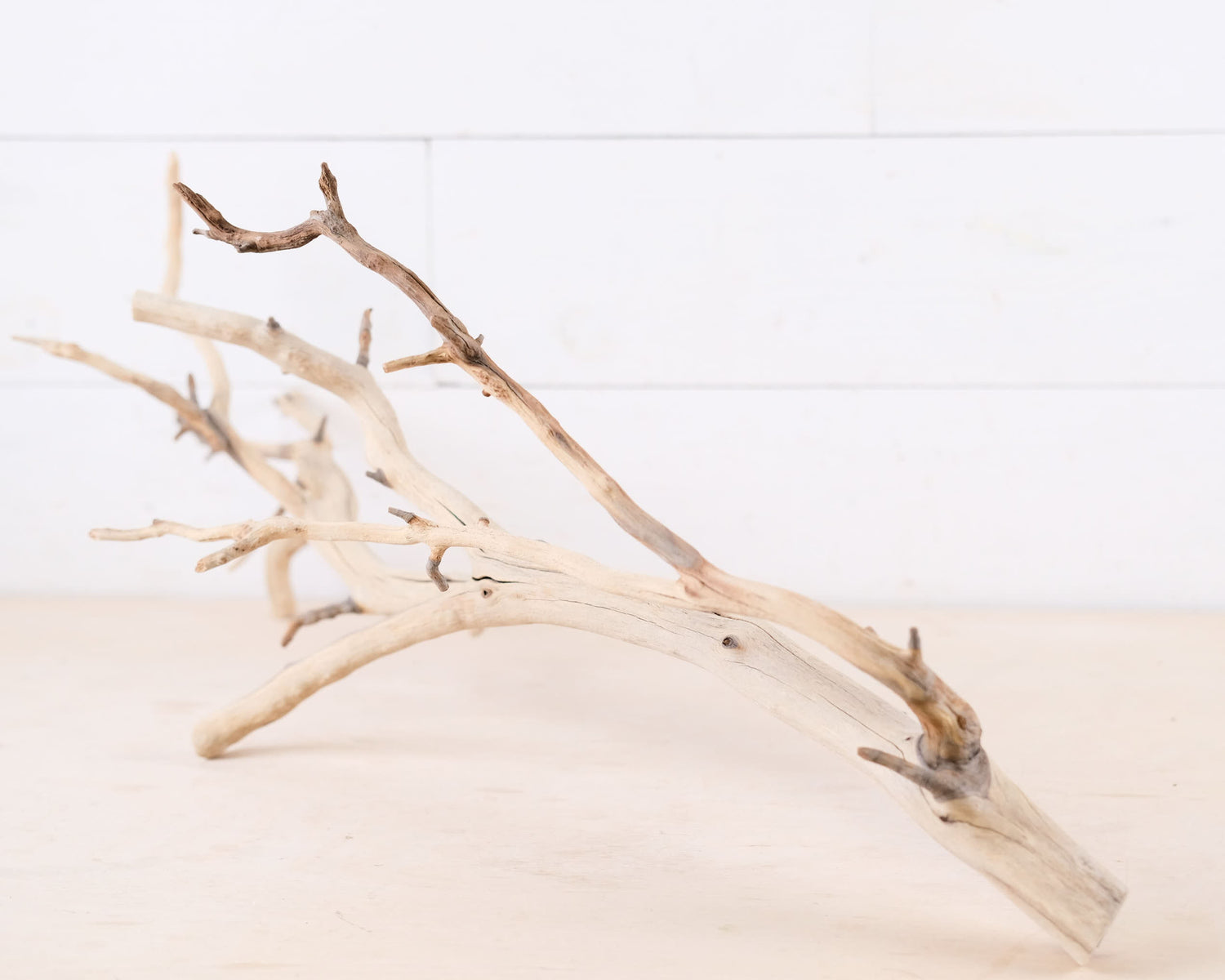 Manzanita 27" Branch, Aquarium Driftwood, Aquascape Centerpiece, Reptile Terrarium Climb, Gecko Perch, Tree Frog Branch