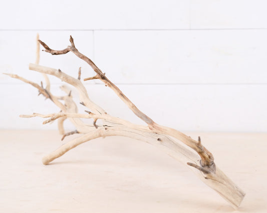 Manzanita 27" Branch, Aquarium Driftwood, Aquascape Centerpiece, Reptile Terrarium Climb, Gecko Perch, Tree Frog Branch