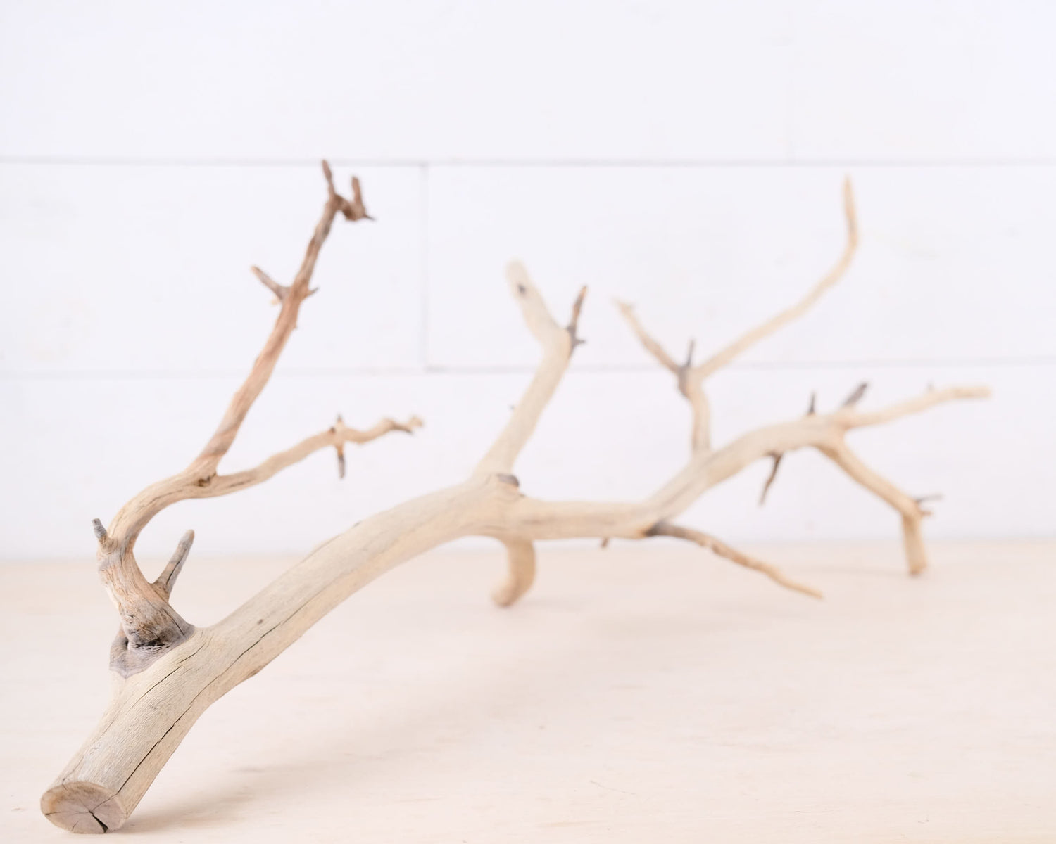 Manzanita 27" Branch, Aquarium Driftwood, Aquascape Centerpiece, Reptile Terrarium Climb, Gecko Perch, Tree Frog Branch