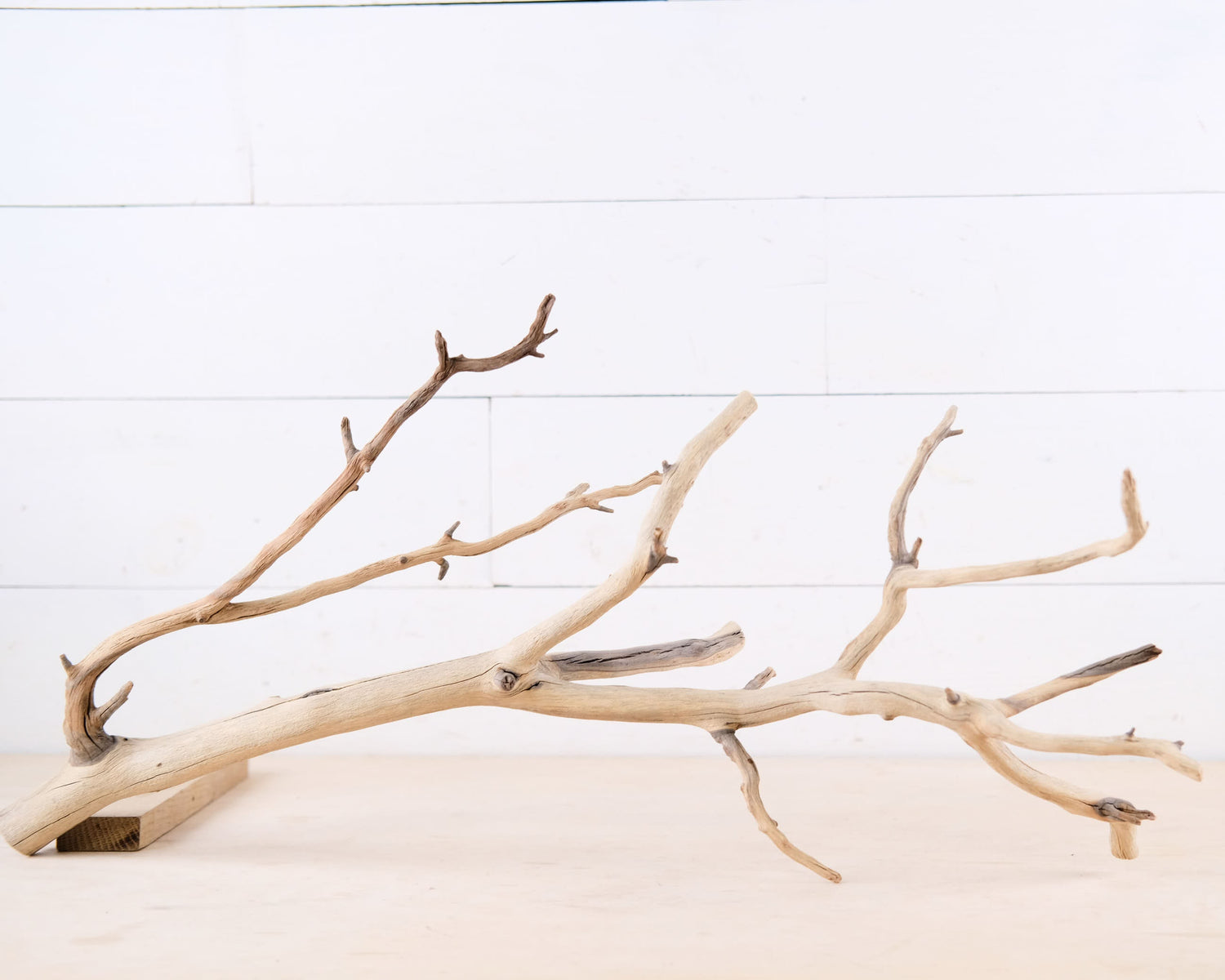Manzanita 27" Branch, Aquarium Driftwood, Aquascape Centerpiece, Reptile Terrarium Climb, Gecko Perch, Tree Frog Branch