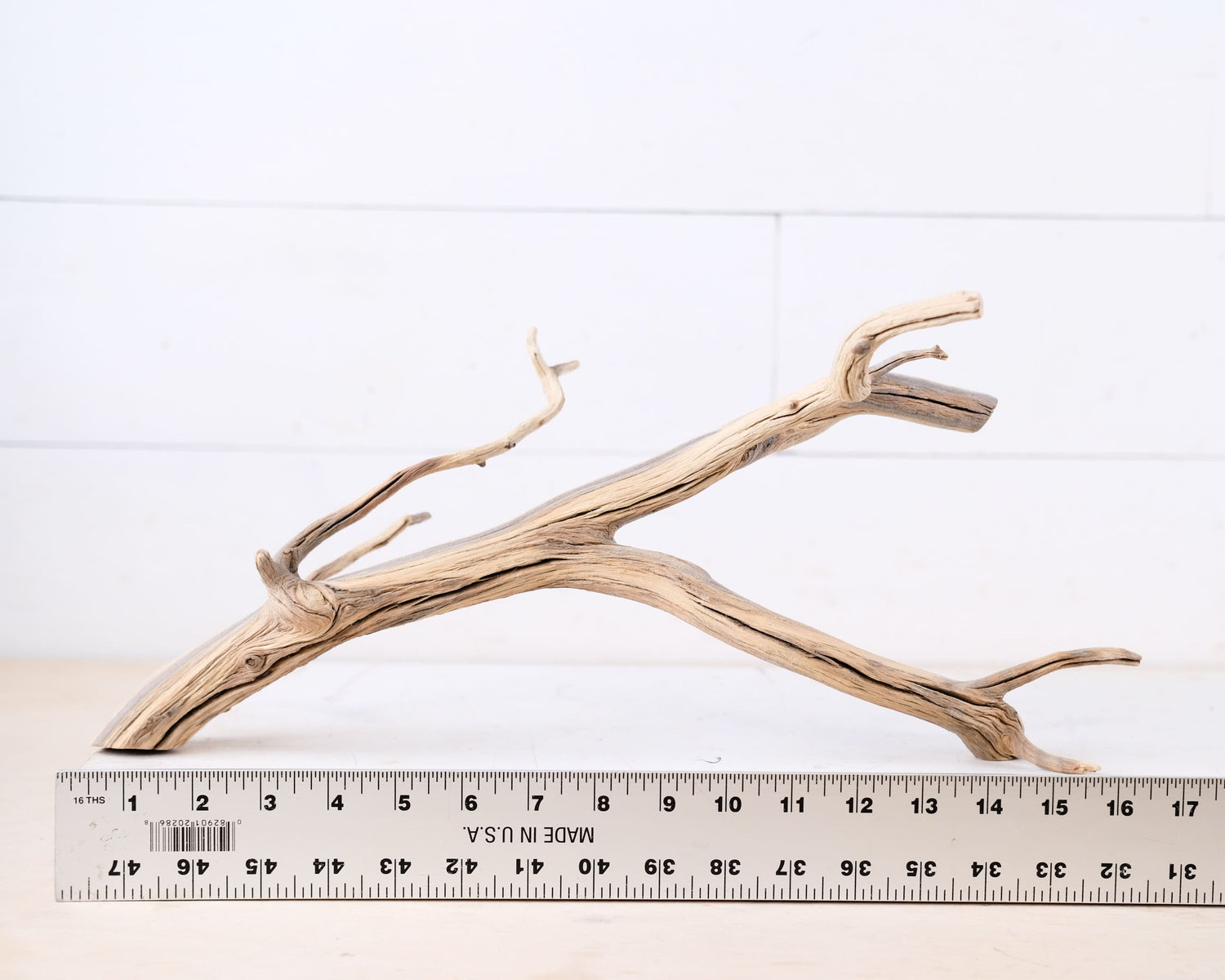 Manzanita 17" Branch, Aquascape Driftwood, Aquarium Wood Centerpiece, Natural Fish Tank Decor