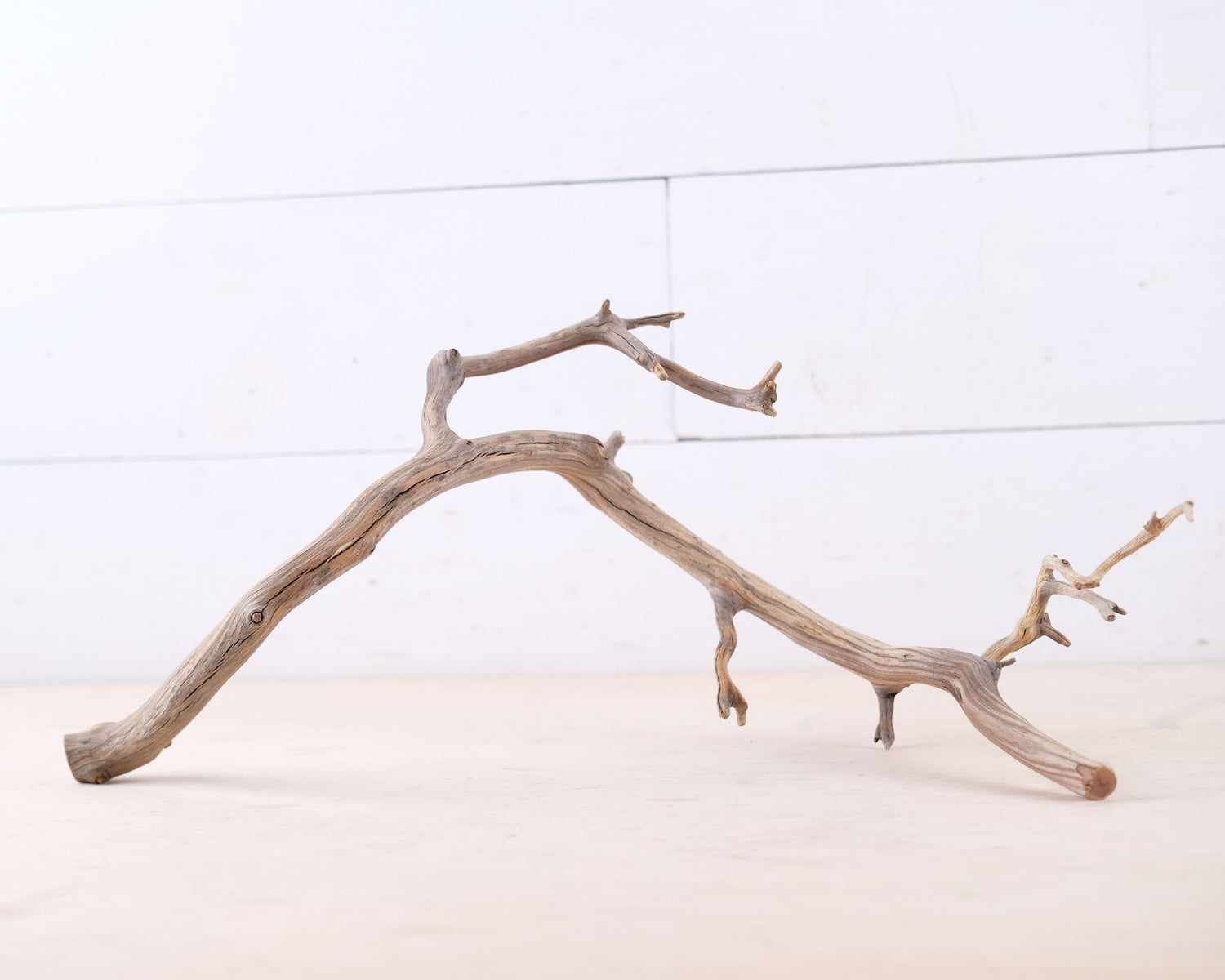Manzanita 18" Branch, Slender Aquascape Driftwood, Natural Terrarium Wood, Aquarium Decor