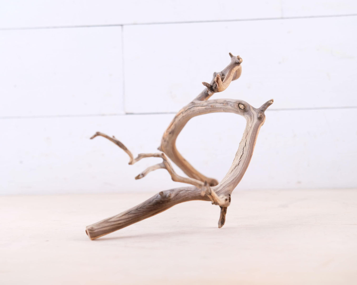 Manzanita 18" Branch, Slender Aquascape Driftwood, Natural Terrarium Wood, Aquarium Decor