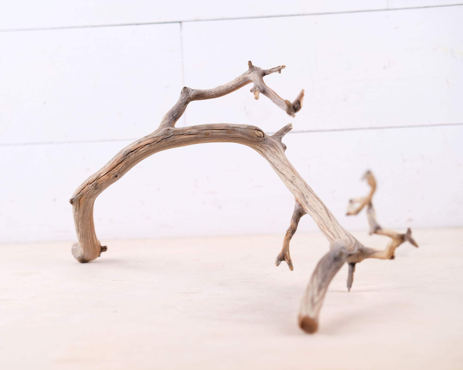 Manzanita 18" Branch, Slender Aquascape Driftwood, Natural Terrarium Wood, Aquarium Decor