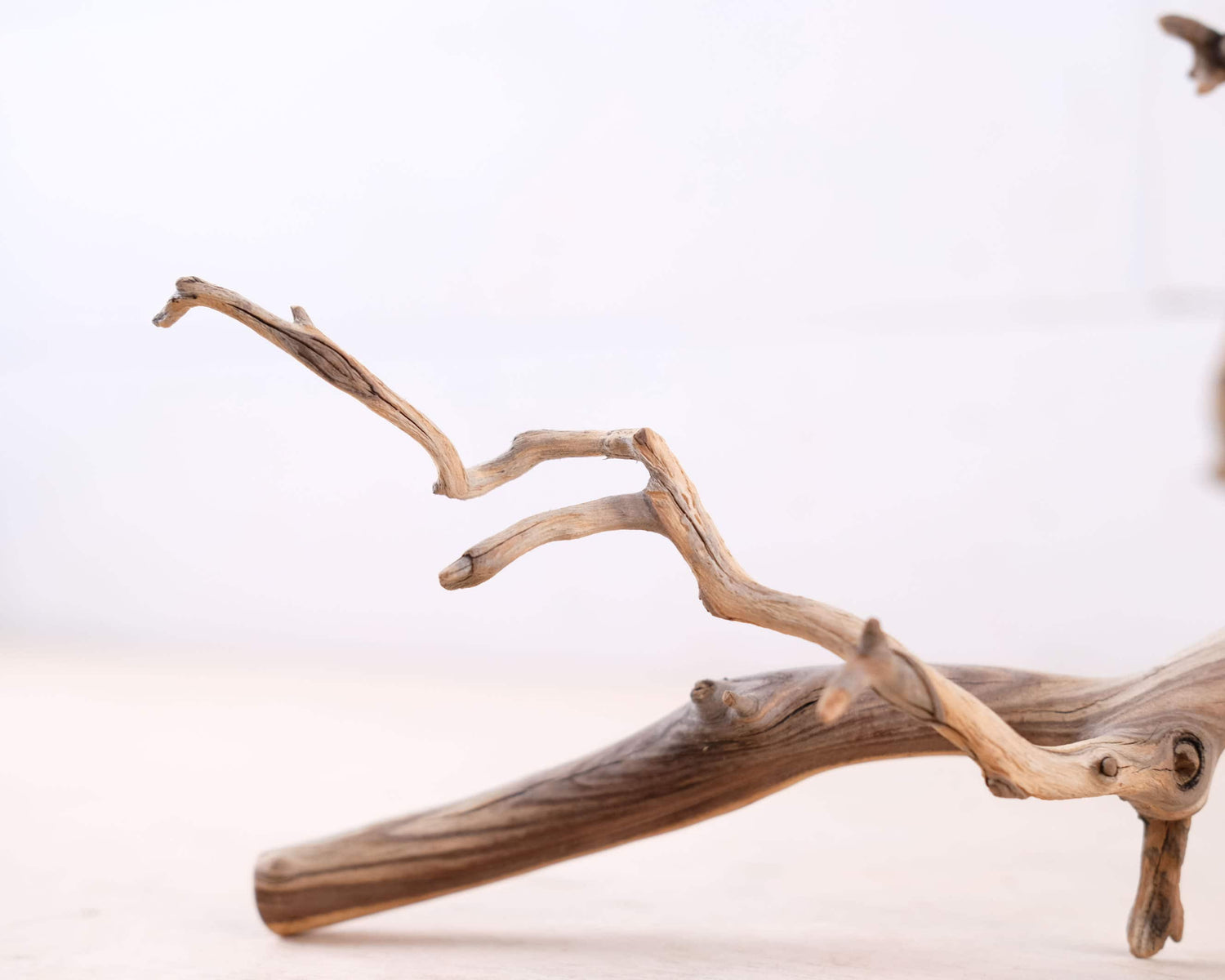 Manzanita 18" Branch, Slender Aquascape Driftwood, Natural Terrarium Wood, Aquarium Decor