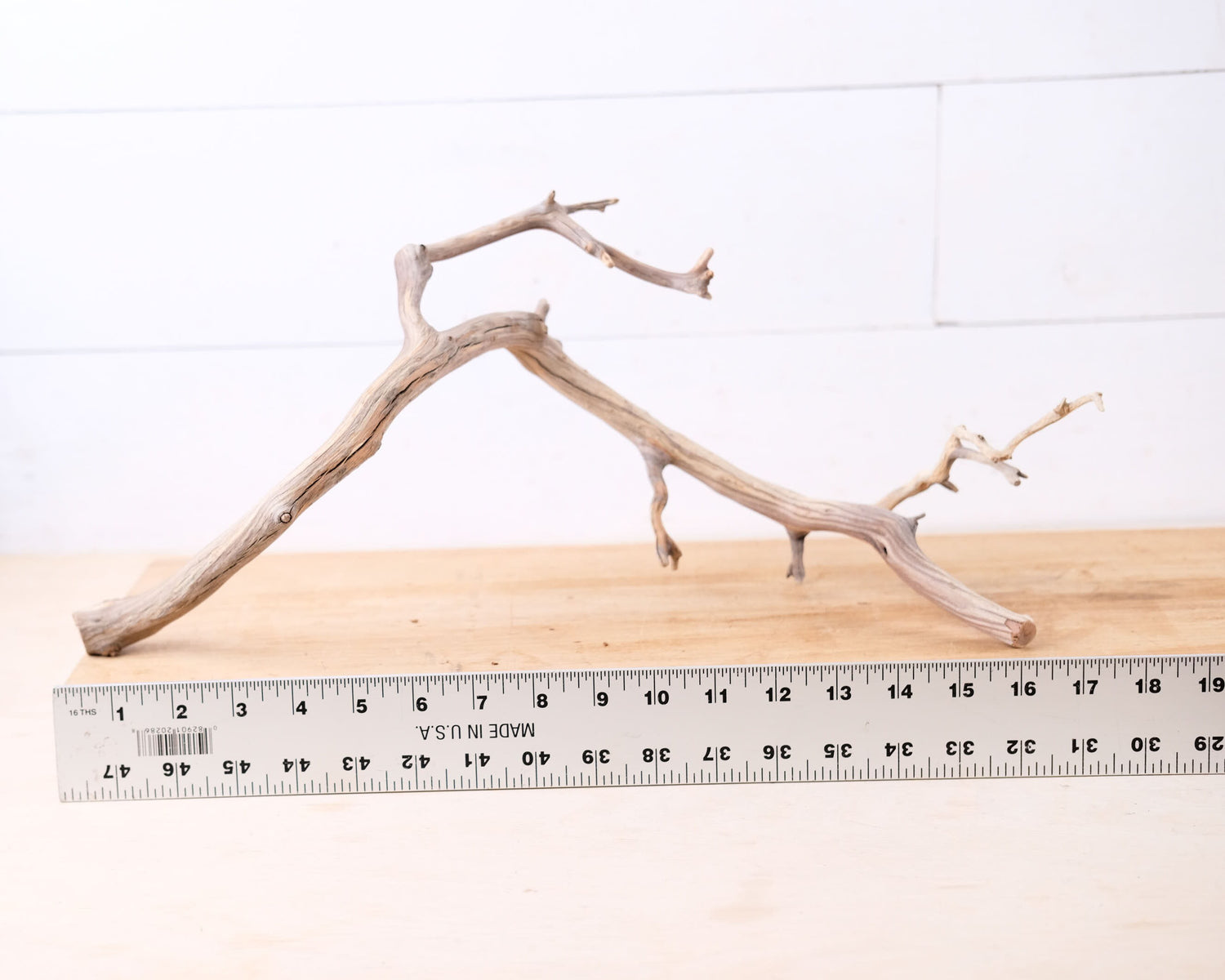 Manzanita 18" Branch, Slender Aquascape Driftwood, Natural Terrarium Wood, Aquarium Decor