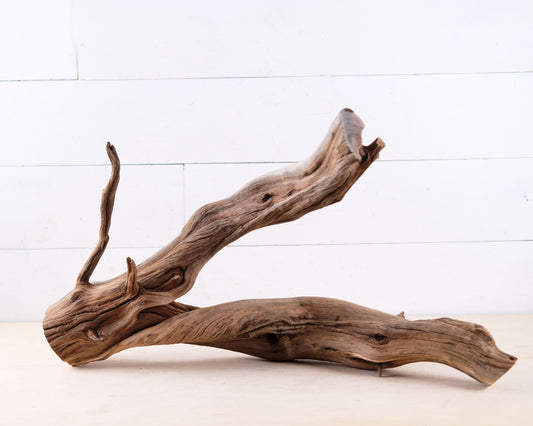 Manzanita 24" Driftwood Branch, Large Reptile Perch, Aquarium Centerpiece, Terrarium Wood Climb