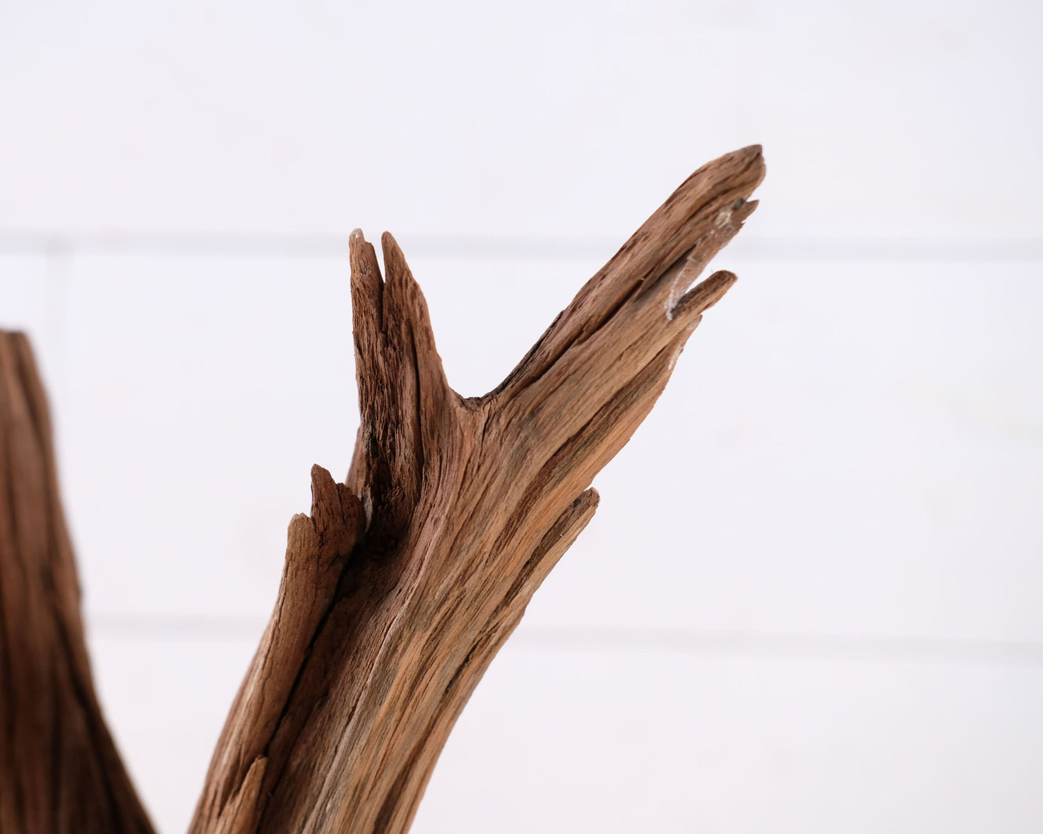 Manzanita 11" Driftwood, Small Aquarium Driftwood, Narrow Aquascape Decor, Natural Fish Tank Decor, Nano Tank Wood, Terrarium Decor